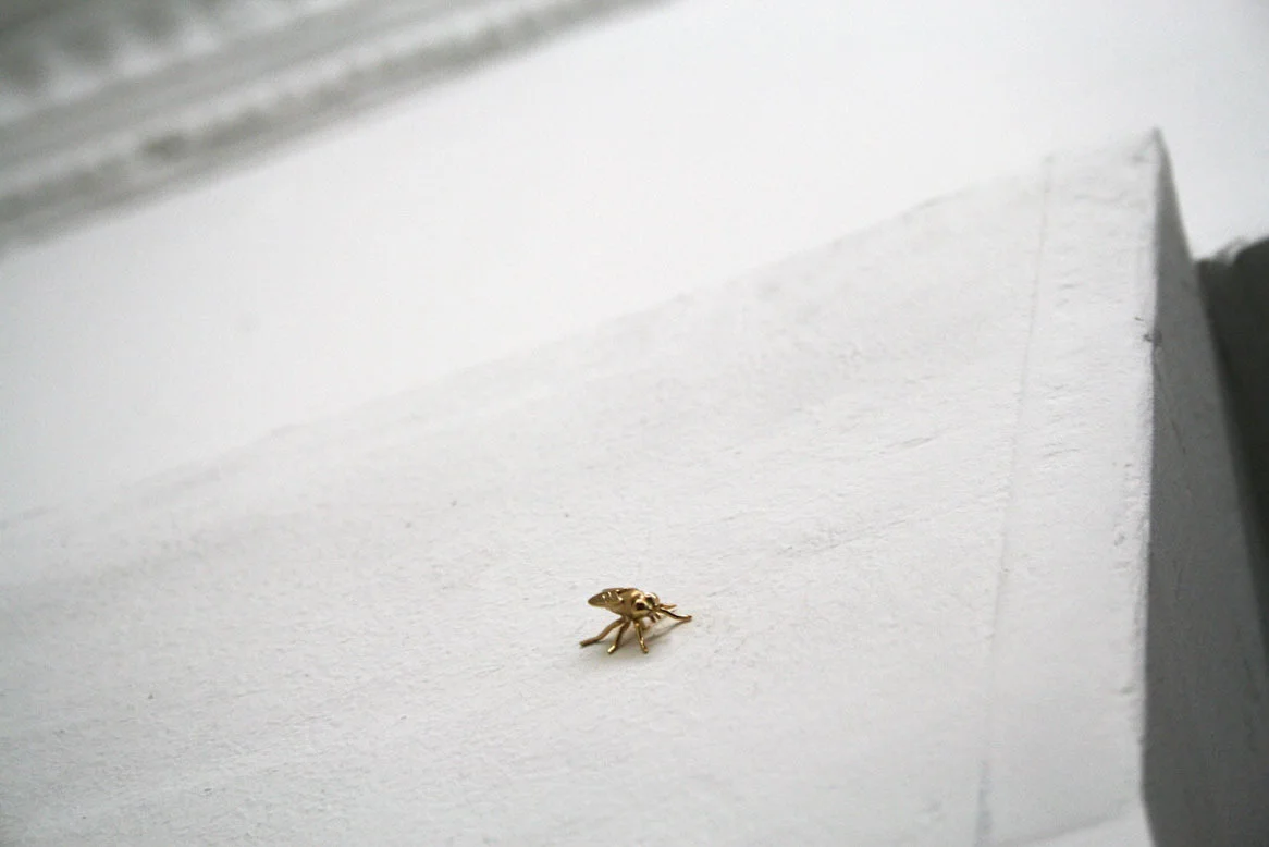 Untitled (Common Horsefly) 2013 gold 1,2 x 0,5 cm