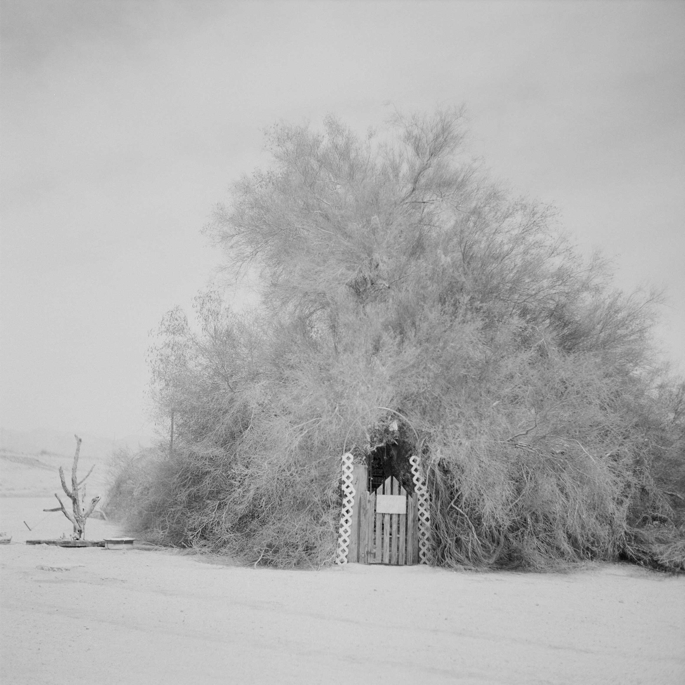 Dave Hullfish Bailey Untitled #15, from the series: Working approximation of a conventional form, re-determined by prevailing conditions 2007/2008 15 b/w laser prints Each 19,5 x 19,5 cm / 7,7 x 7,7 in, framed 28 x 28 cm / 11 x 11 in Ed. 3 + 1 AP