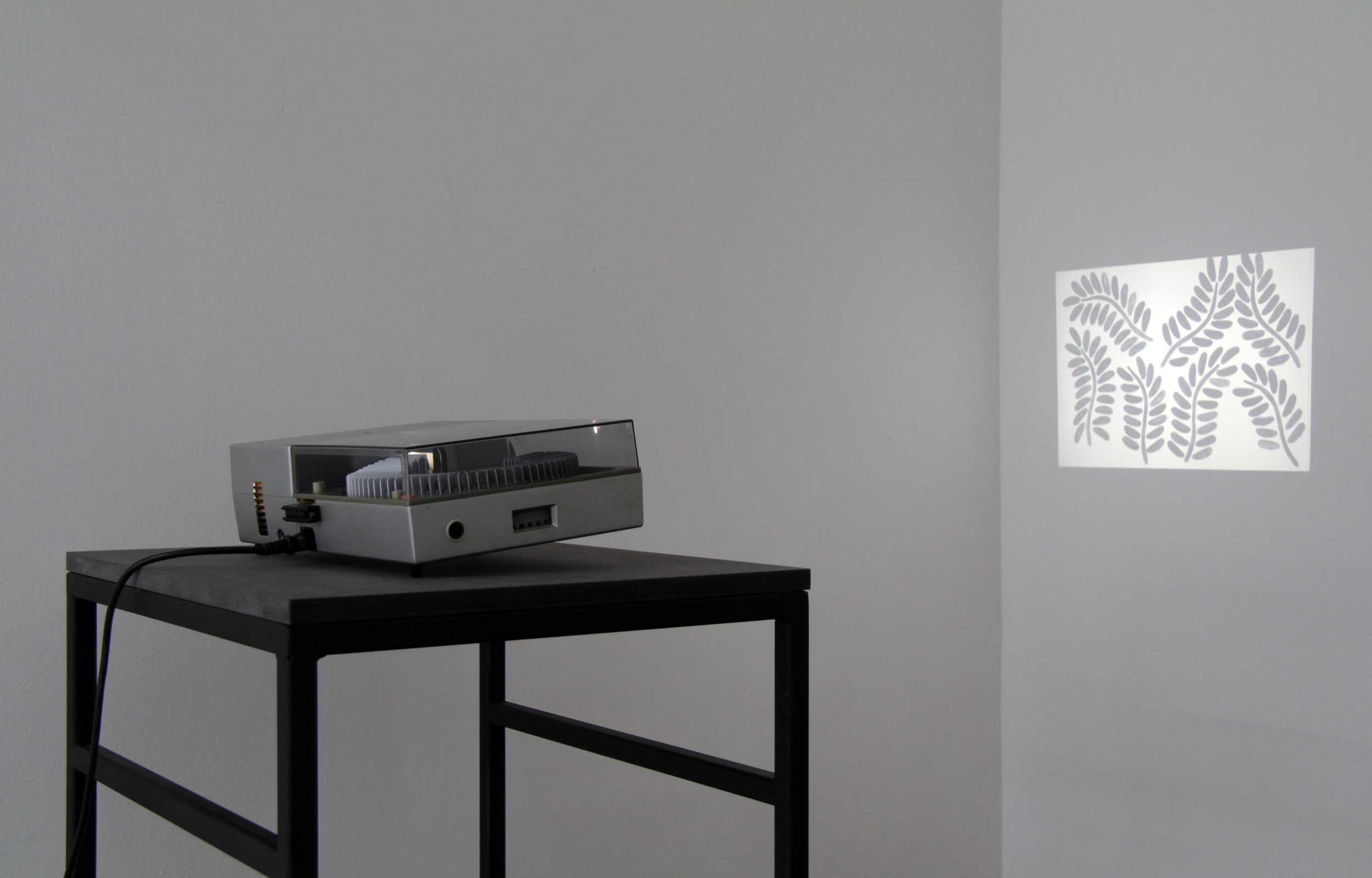Erdkarussell 2014 Slide Projection 66 slides Krome Gallery, solo exhibition "Stabsichelbogen", Berlin