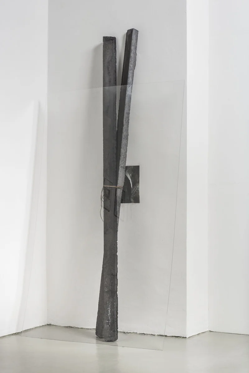 Eyes and landscape almost dry 2014 reinforced concrete, pigment, rope, plexiglass and inkjet print on paper glued on wall 250 x 125 x 50 cm