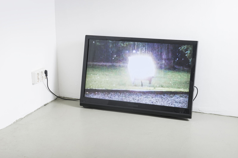 Untitled (Inertia) 2014 video colour, sound, 0'55'', plays every 24’ Edition of 1 + 1AP