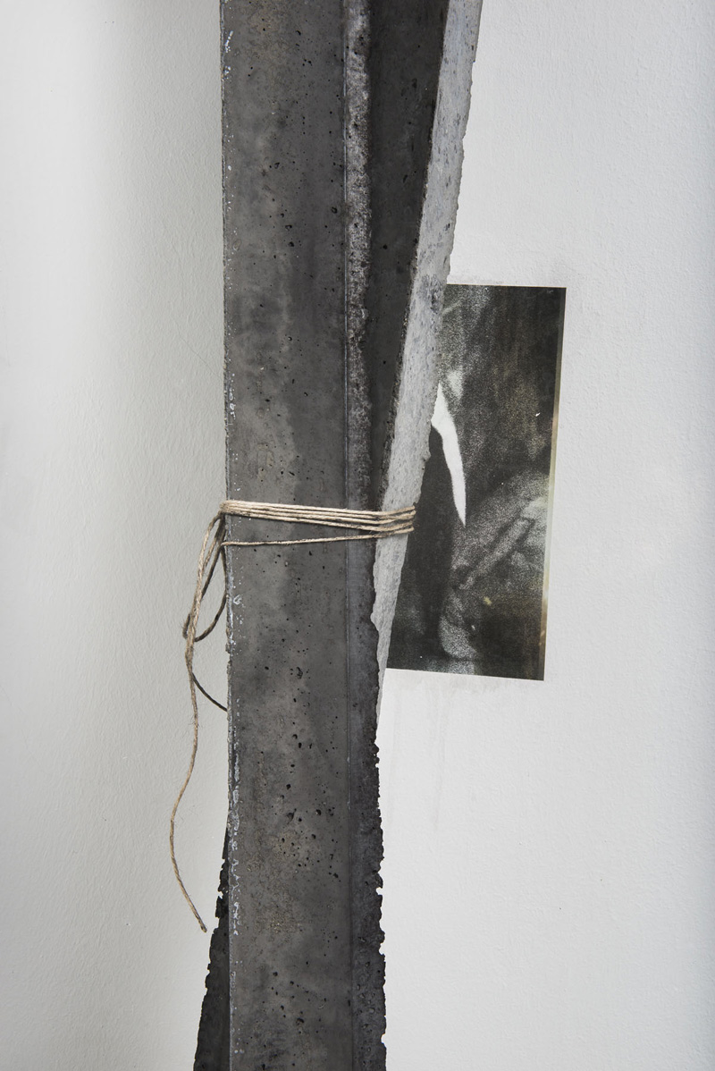Eyes and landscape almost dry (detail) 2014 reinforced concrete, pigment, rope, plexiglass and inkjet print on paper glued on wall 250 x 125 x 50 cm