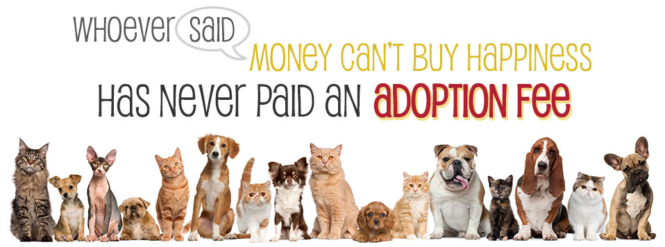 Adoption Application We Care For Animals wiggle-waggle-waggin-pet-adoption-event-jan-28-2023-integrity