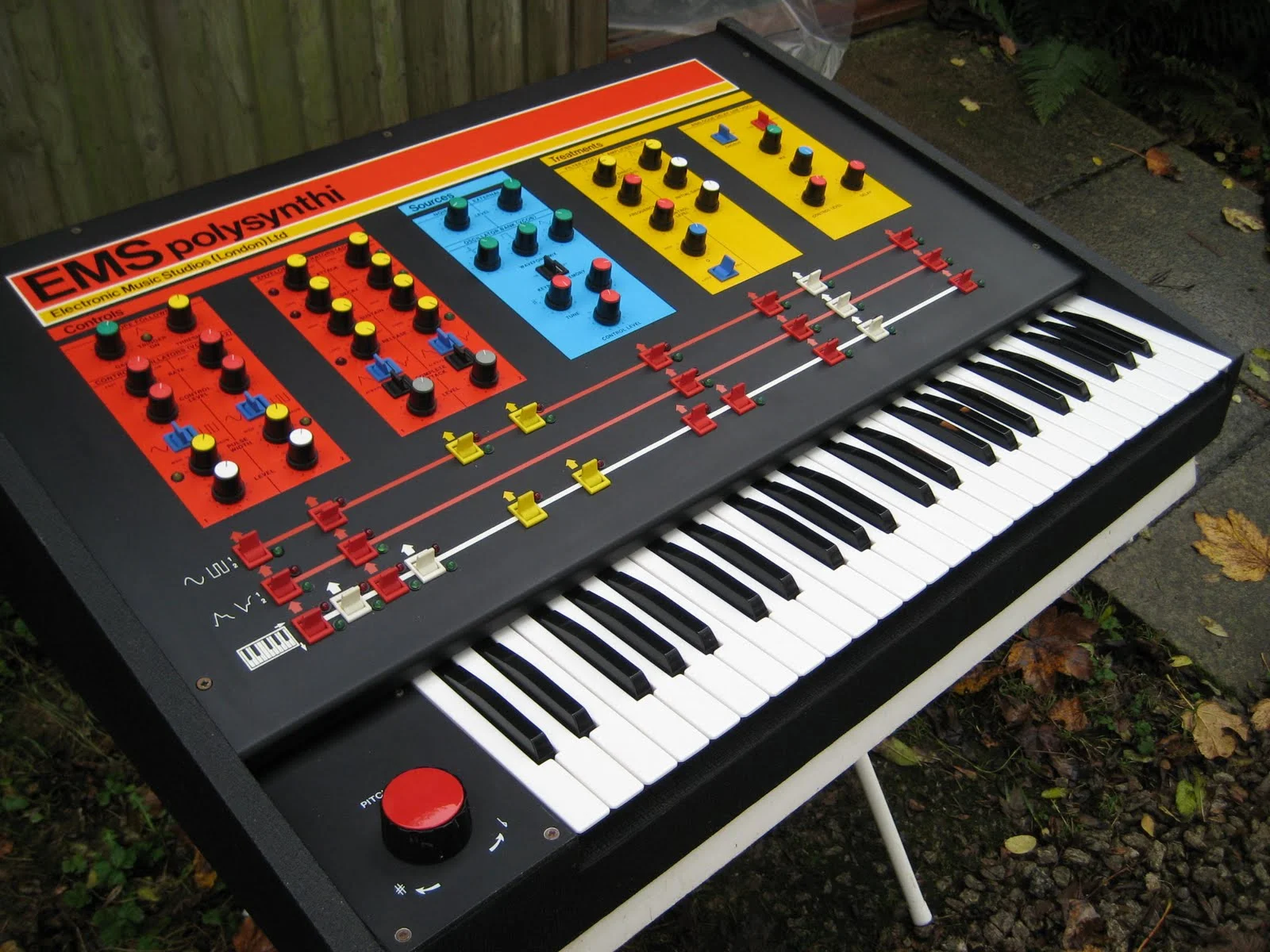 polysynthi from left.jpg
