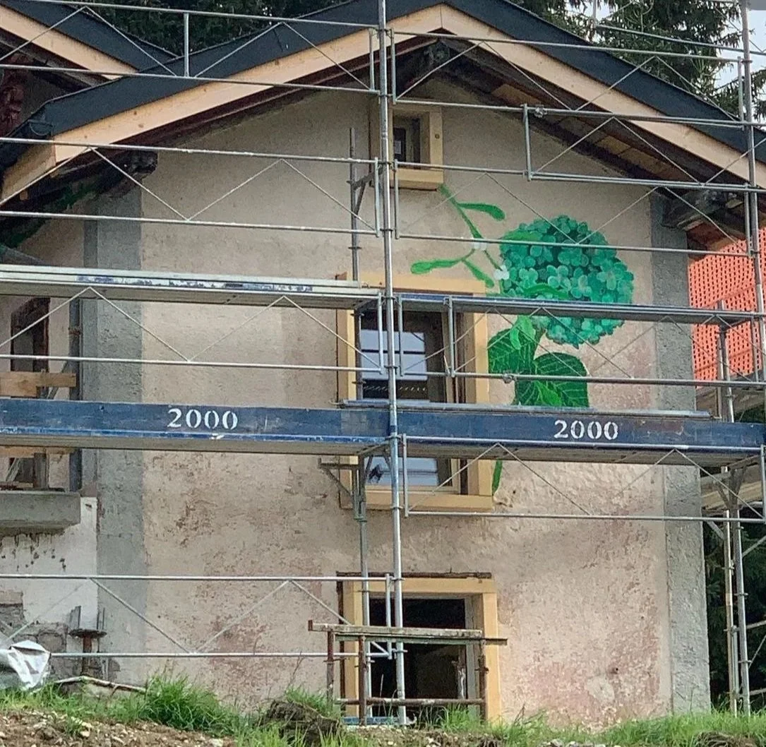 A house under construction with scaffolding around it, featuring a large green hydrangea flower painted on the wall.