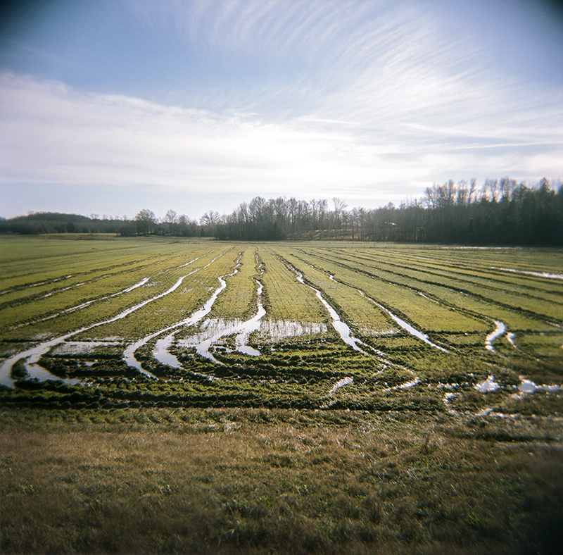 Tractor Ruts, Hwy 69, Hardin Co