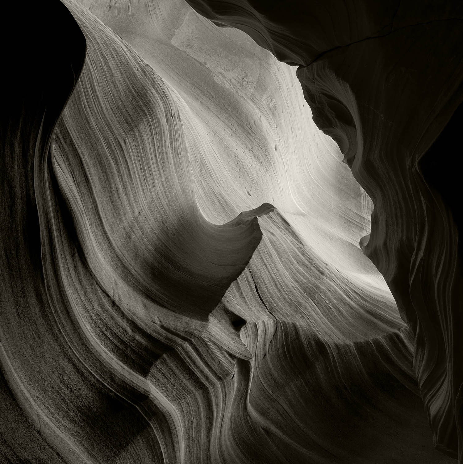 Antelope Wave B&W high structure harsh pulled back copy.jpg