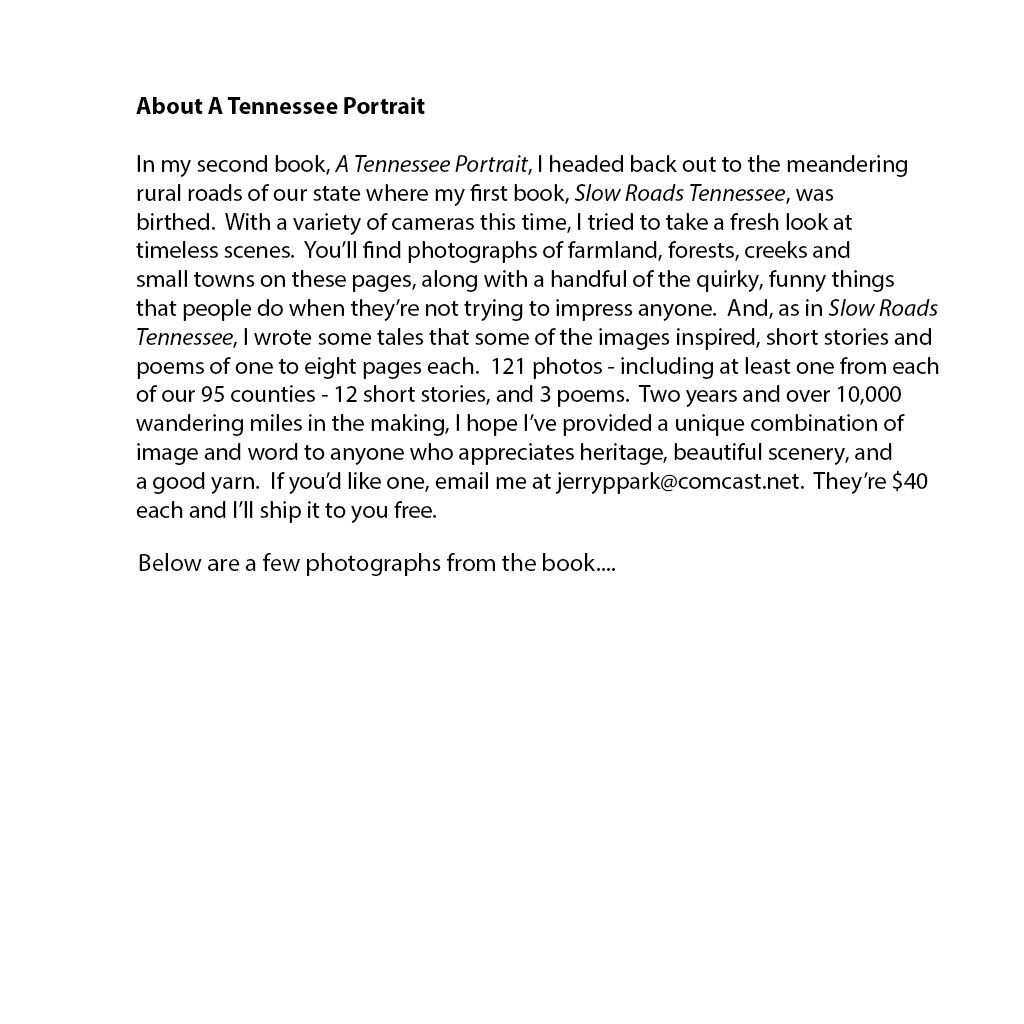 Webstie write-up.jpg