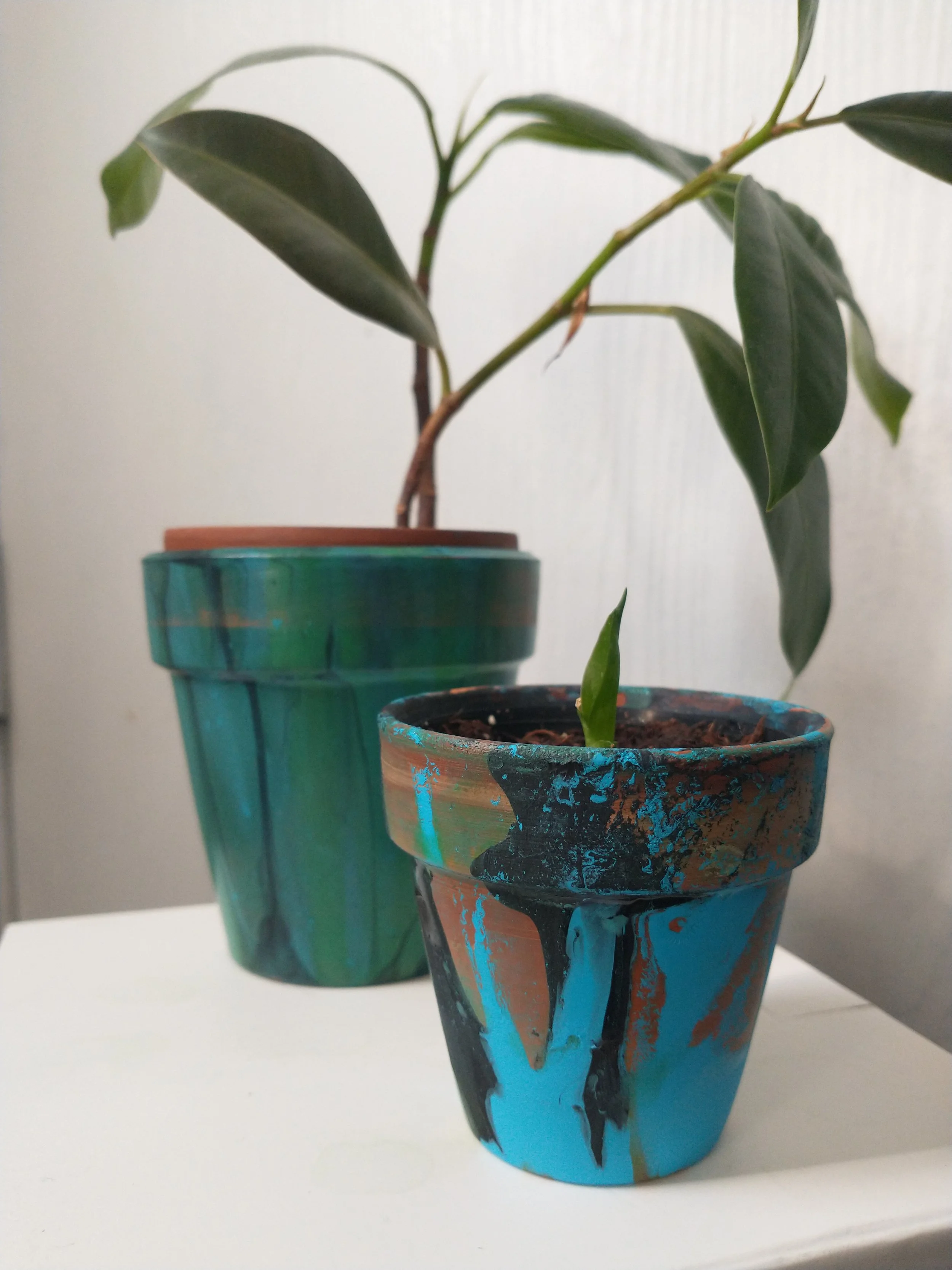 IMG_20260301_123355522 - Jaydn Alexander.jpg