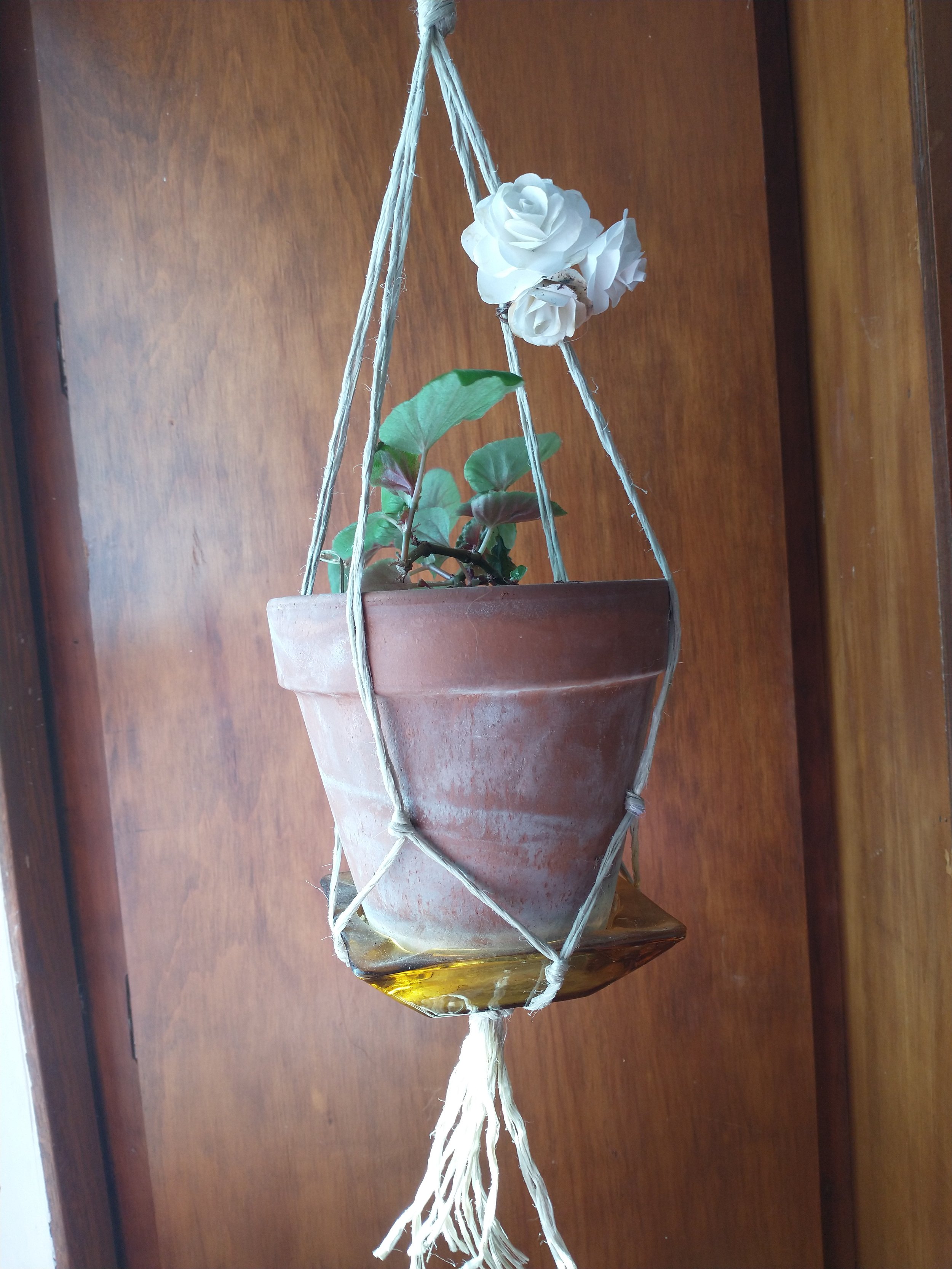 IMG_20260226_124749524 - Jaydn Alexander.jpg