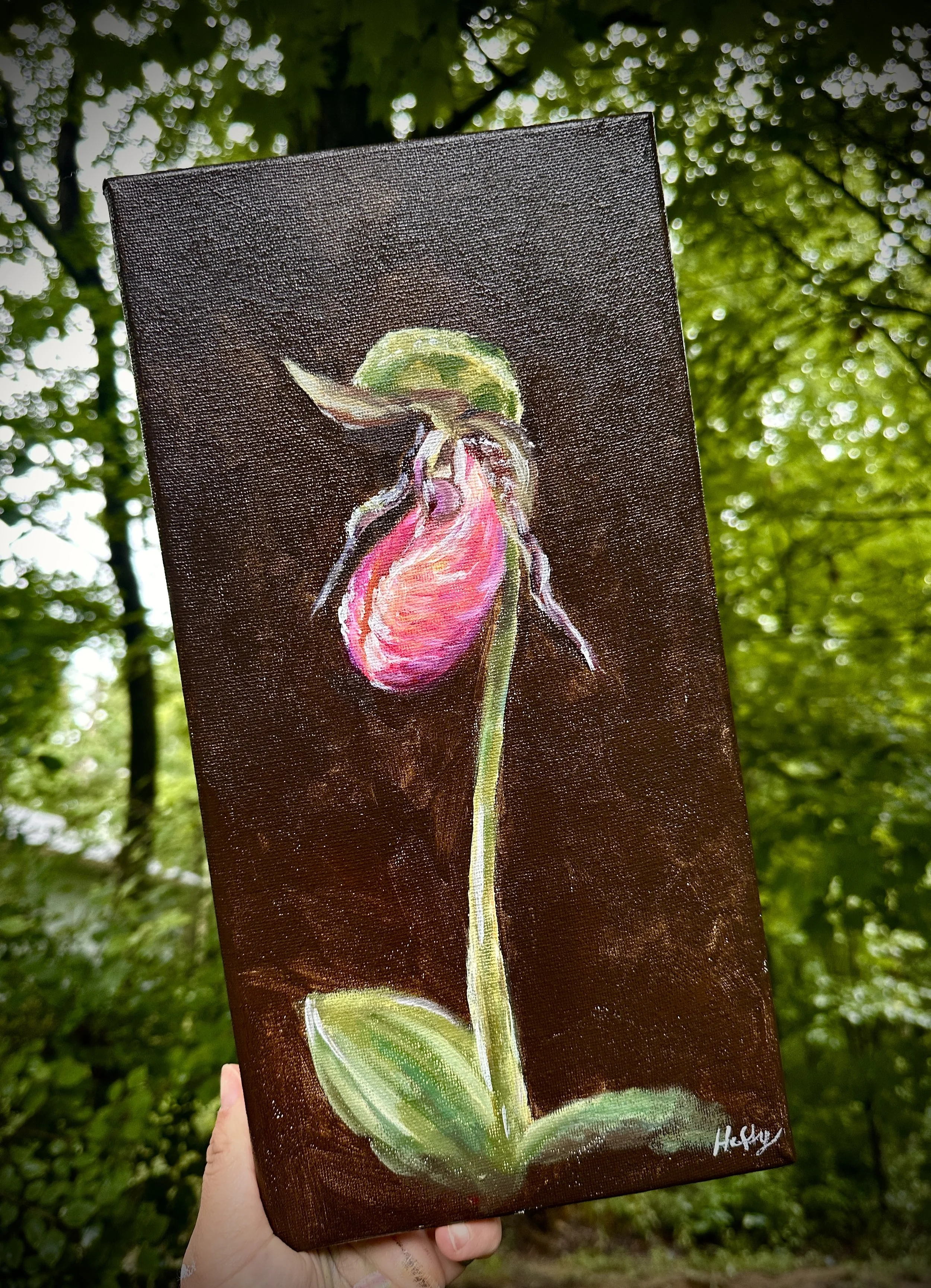 Pinkladyslipper - GreyFoxArtworksAdmin.jpg