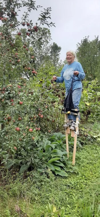 20210903_150539 - Sharon Dill.jpg