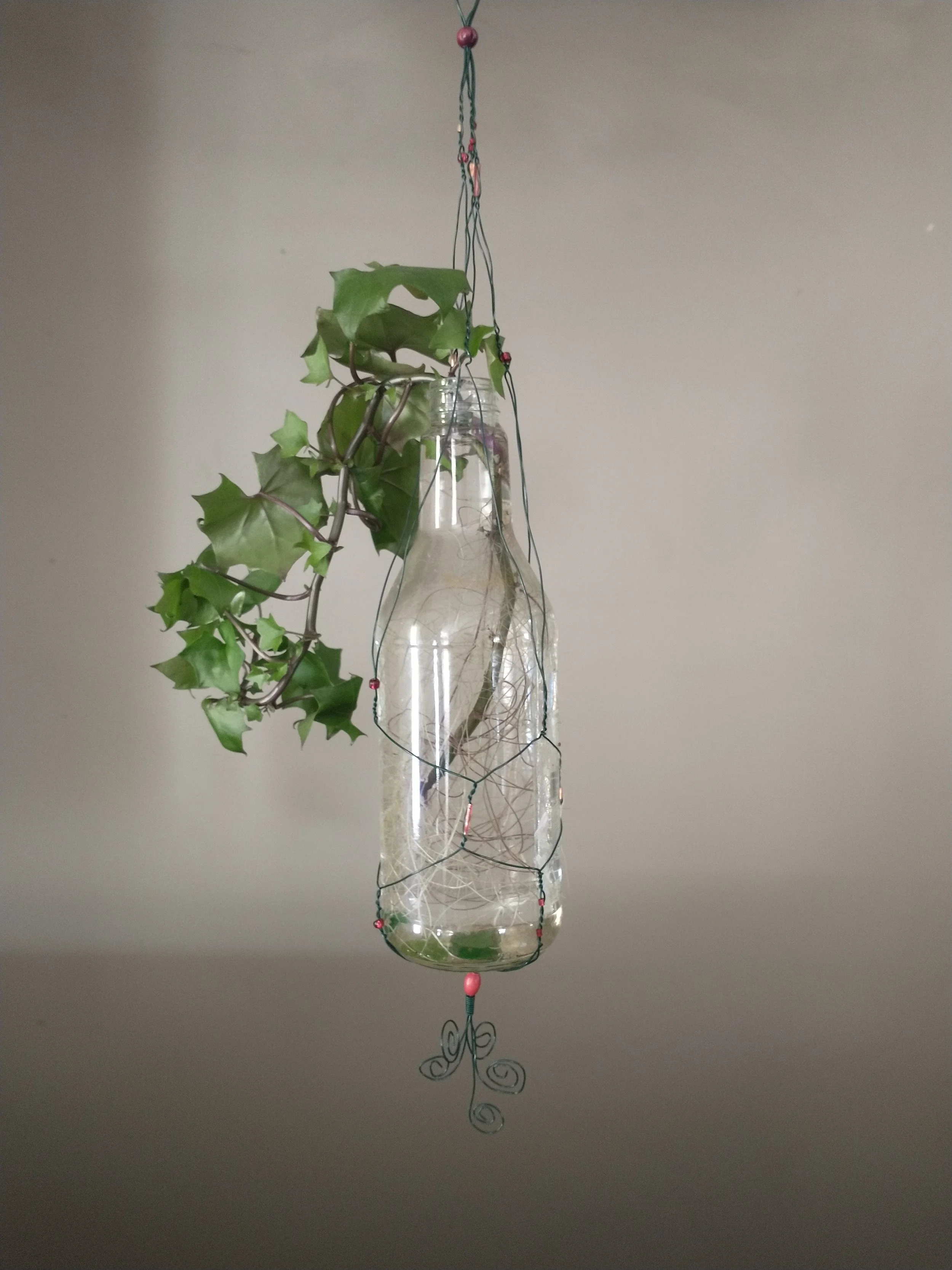 IMG_20260228_094634722 - Jalala Zander.jpg