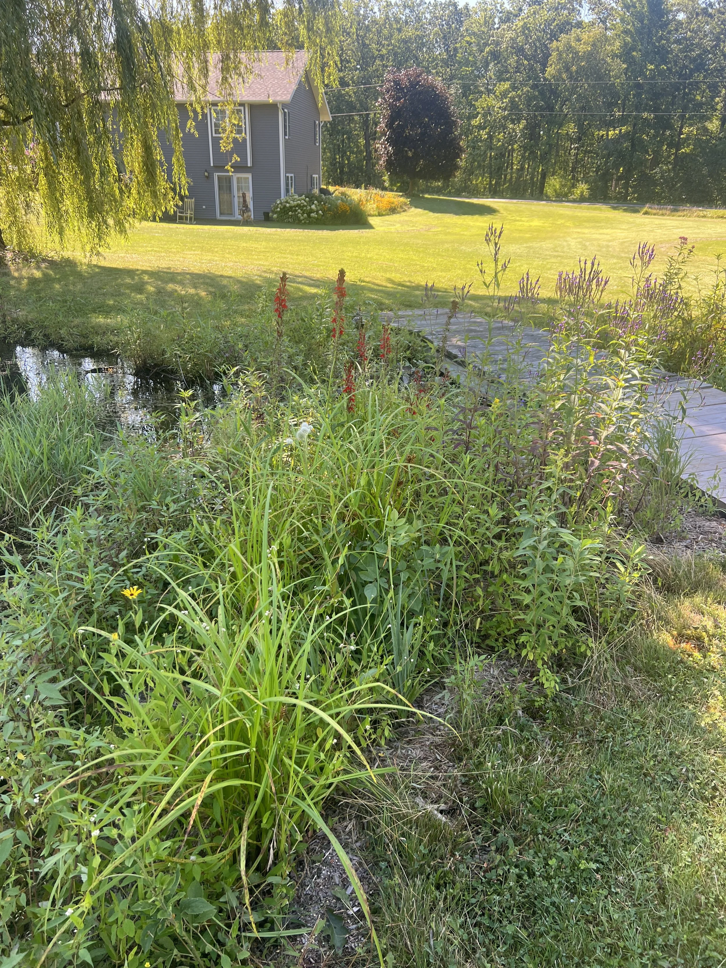 IMG_8621 - Anna DeMers.JPG