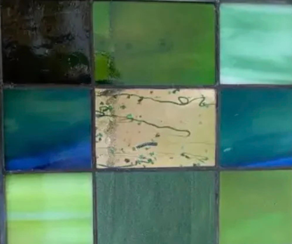 Untitled design (6).png (Copy)