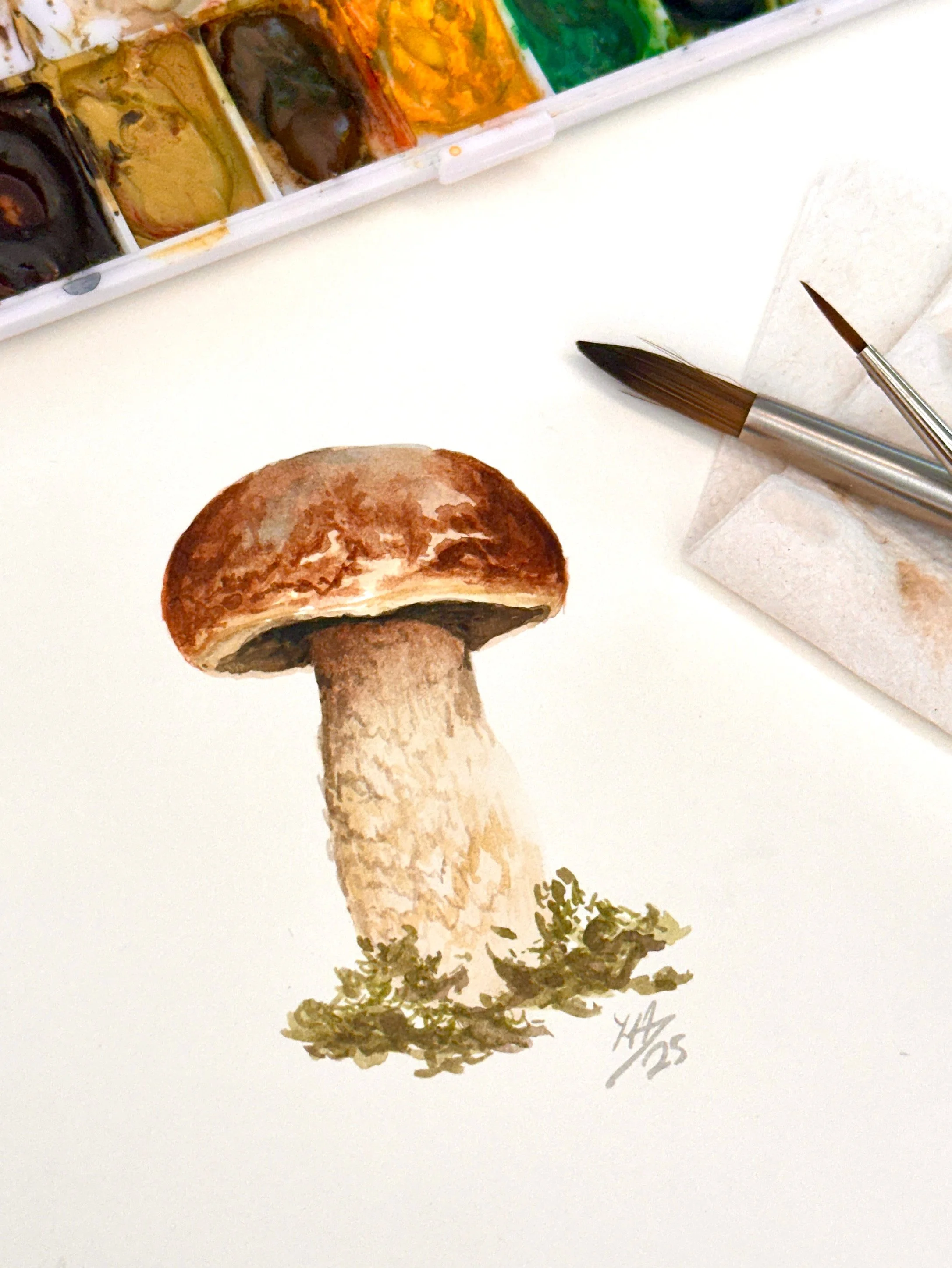 Watercolormushrooms.JPG