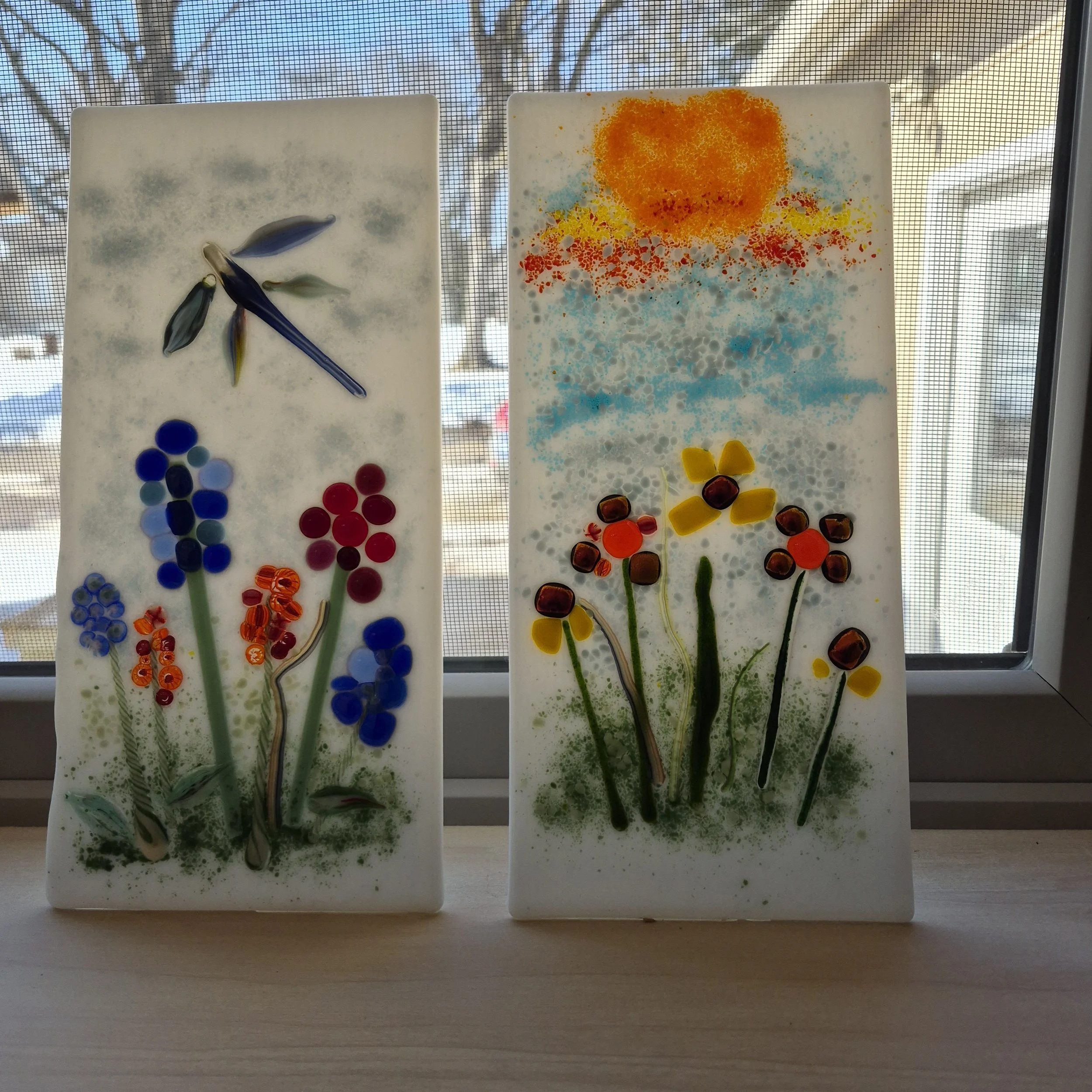 20260216_124729 - Ann Wolgamot.jpg (Copy)