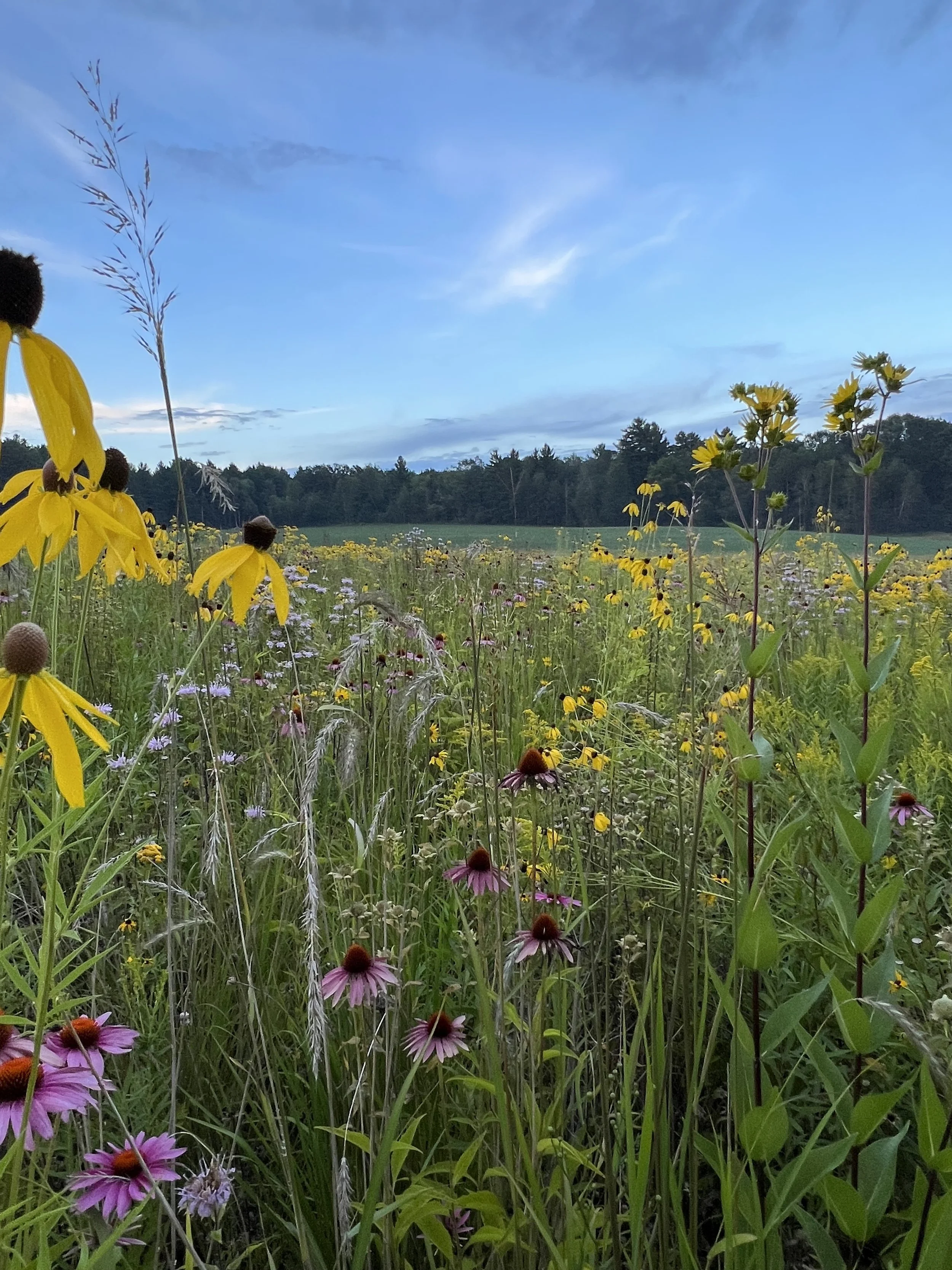 IMG_3510 - Anna DeMers.jpg