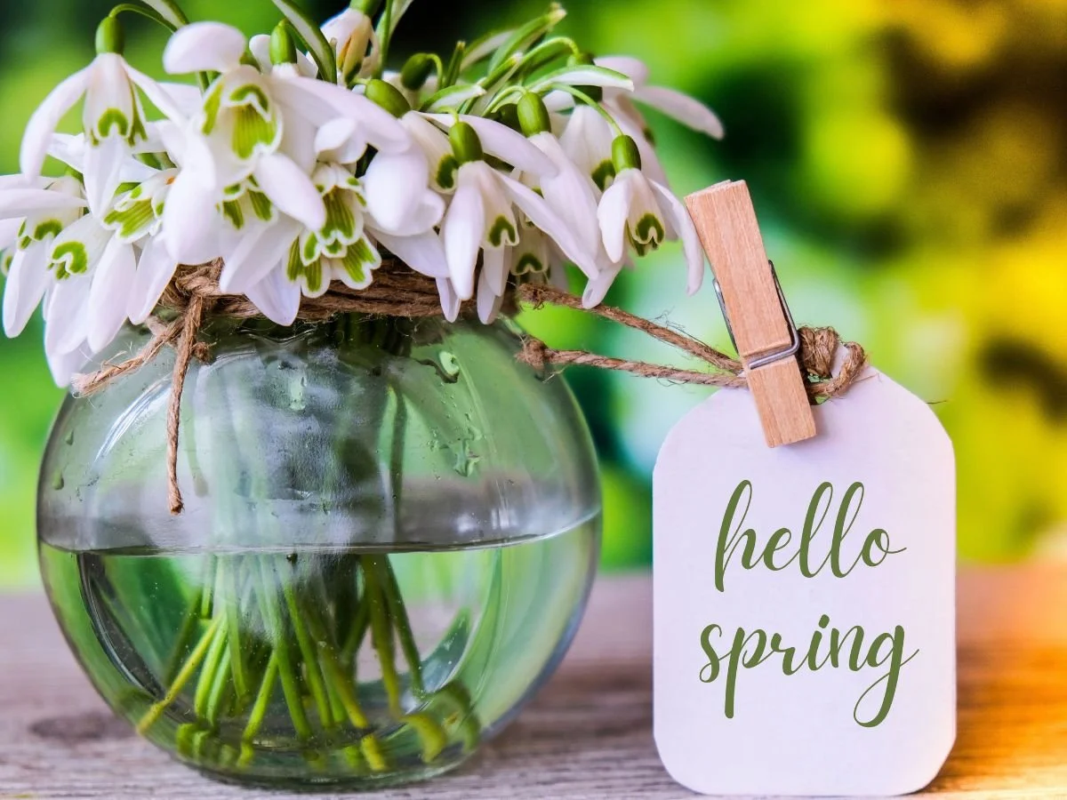 Early May and Spring Bank Holiday 2026 Deadlines  