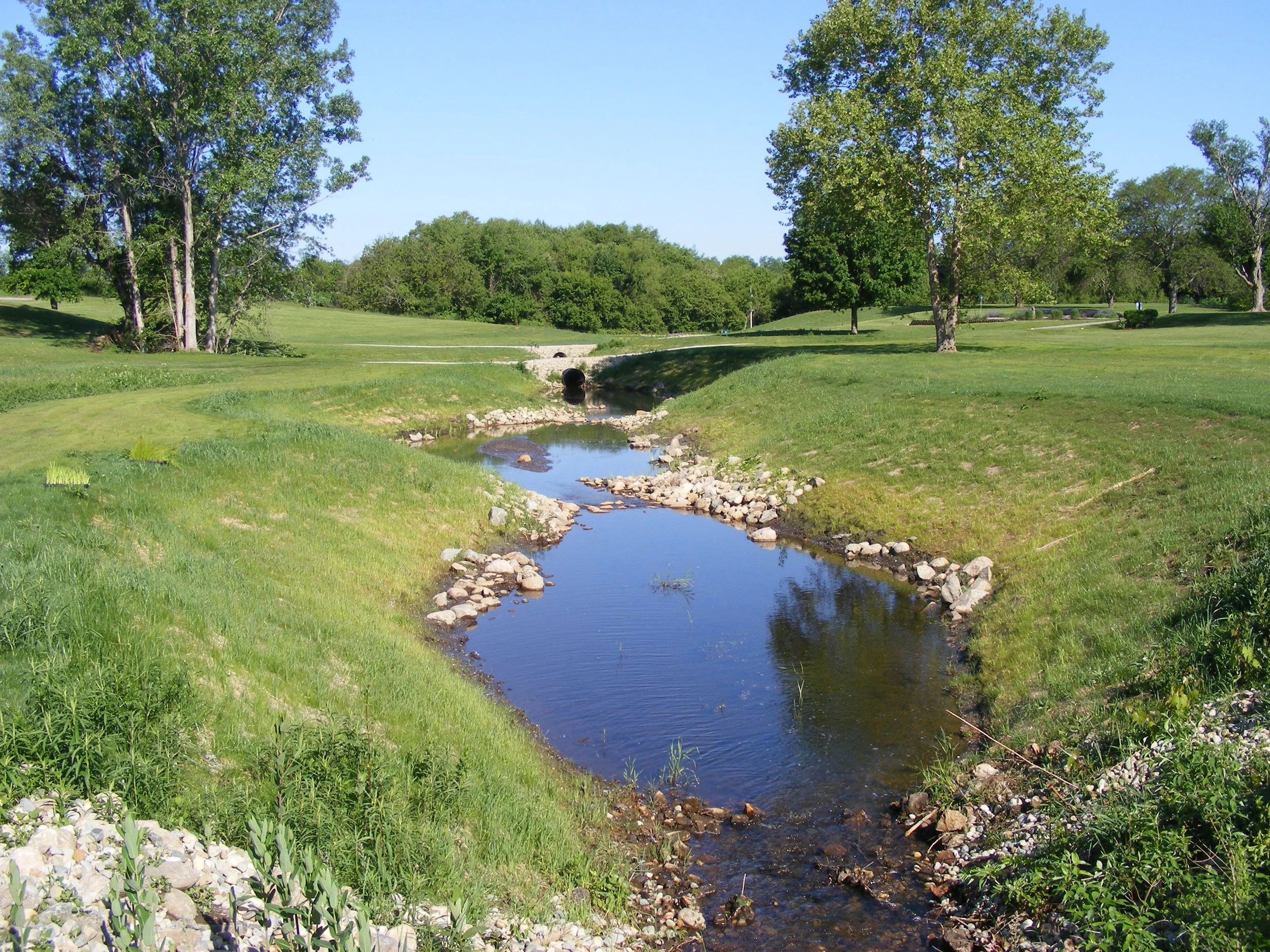 Frank Jackson - finished project