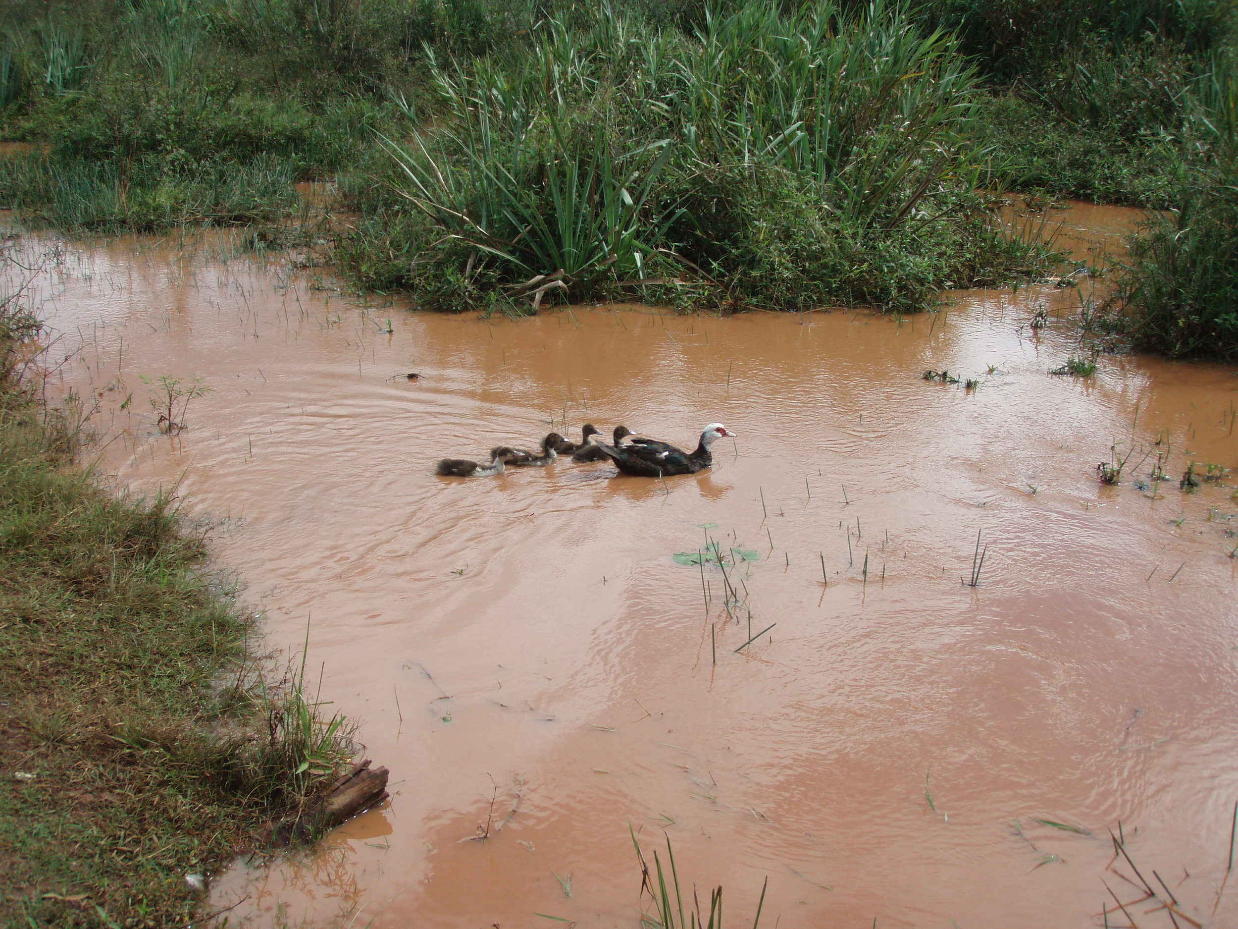 20110430-0930_Paraguay23.JPG