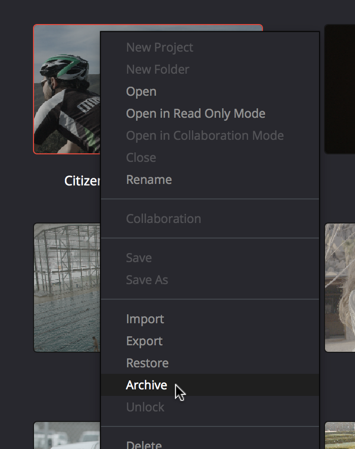 The Archive and Restore commands in the Project Manager