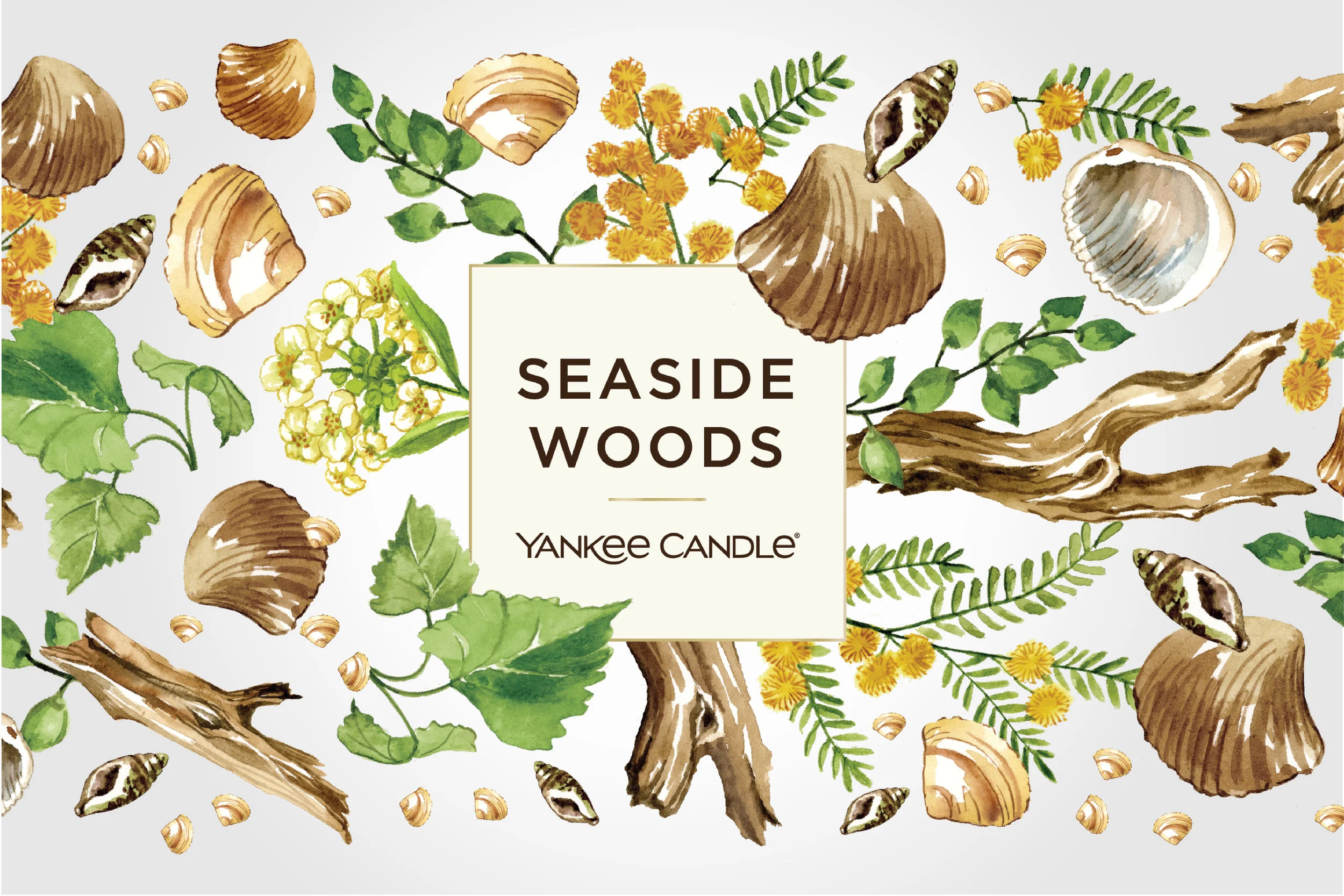 counting crows 2500 x 1667-08.jpg