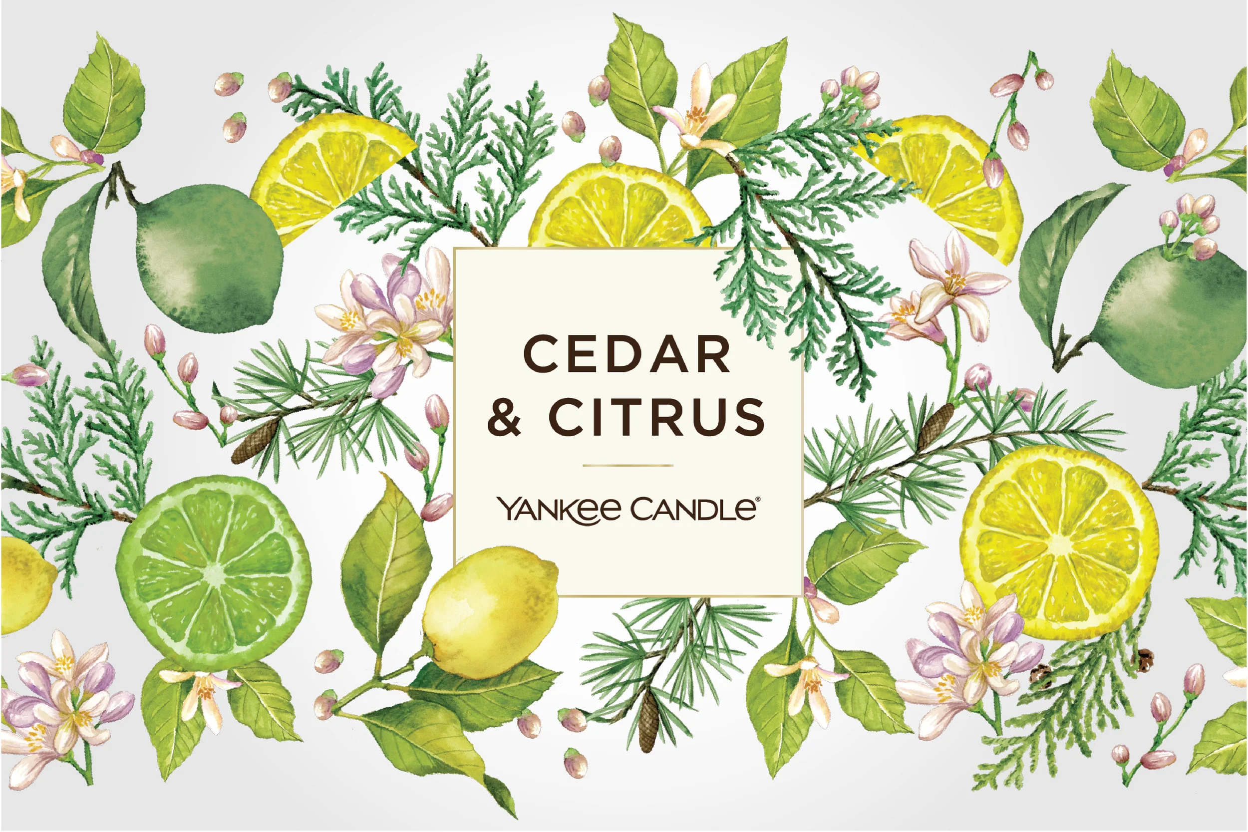 counting crows 2500 x 1667 ced-07.jpg