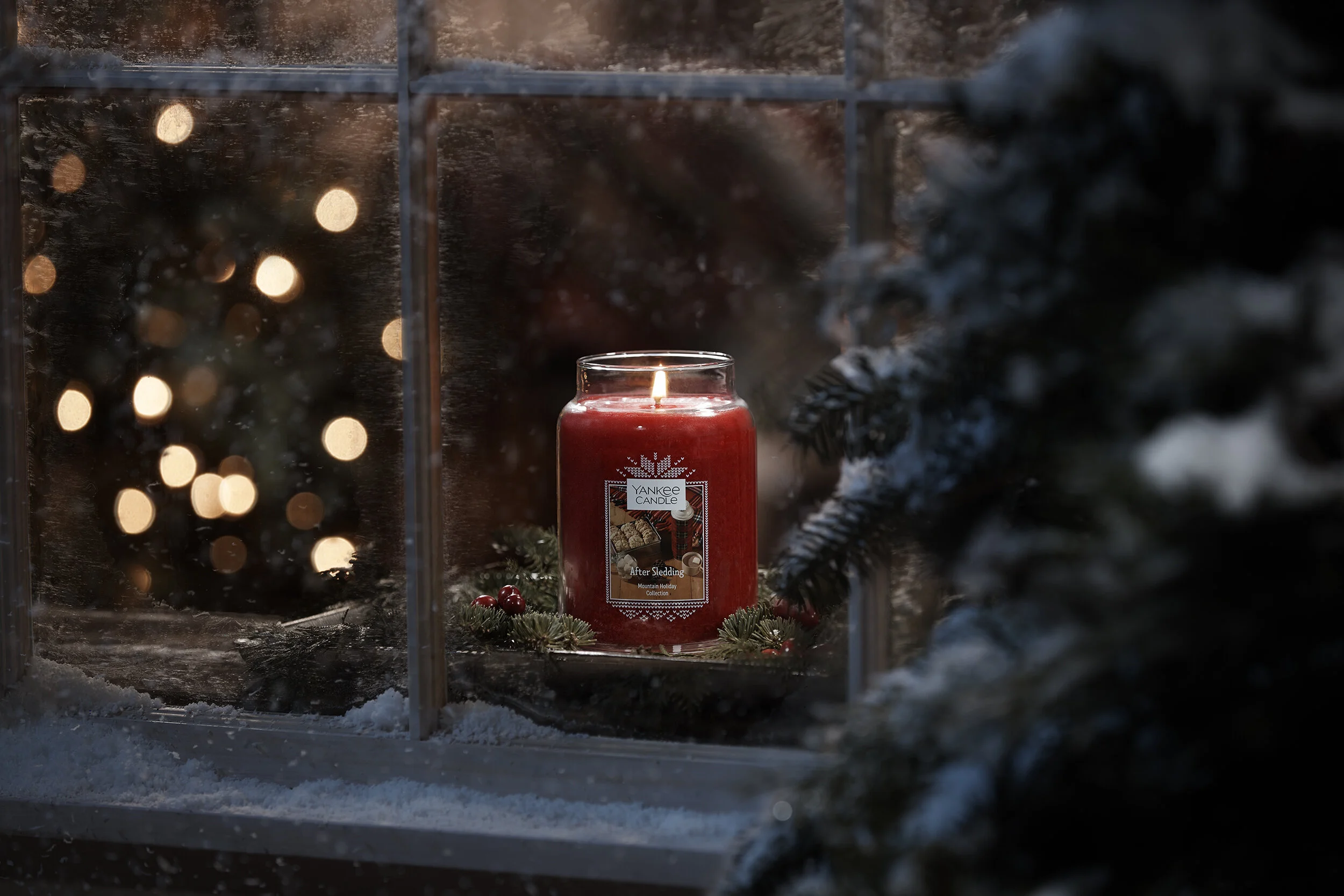 christmas window.jpg