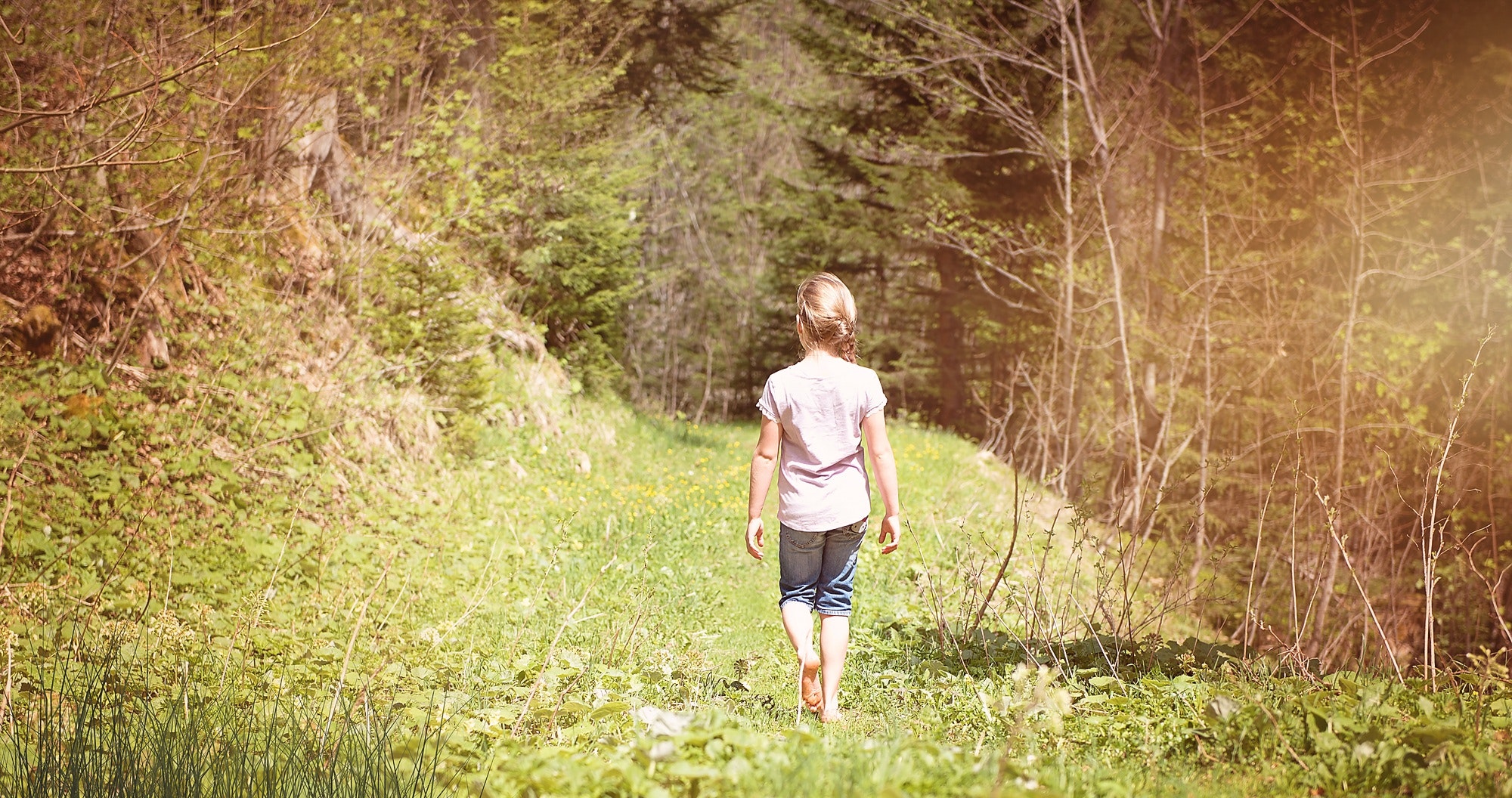 alone-away-back-view-274712.jpg