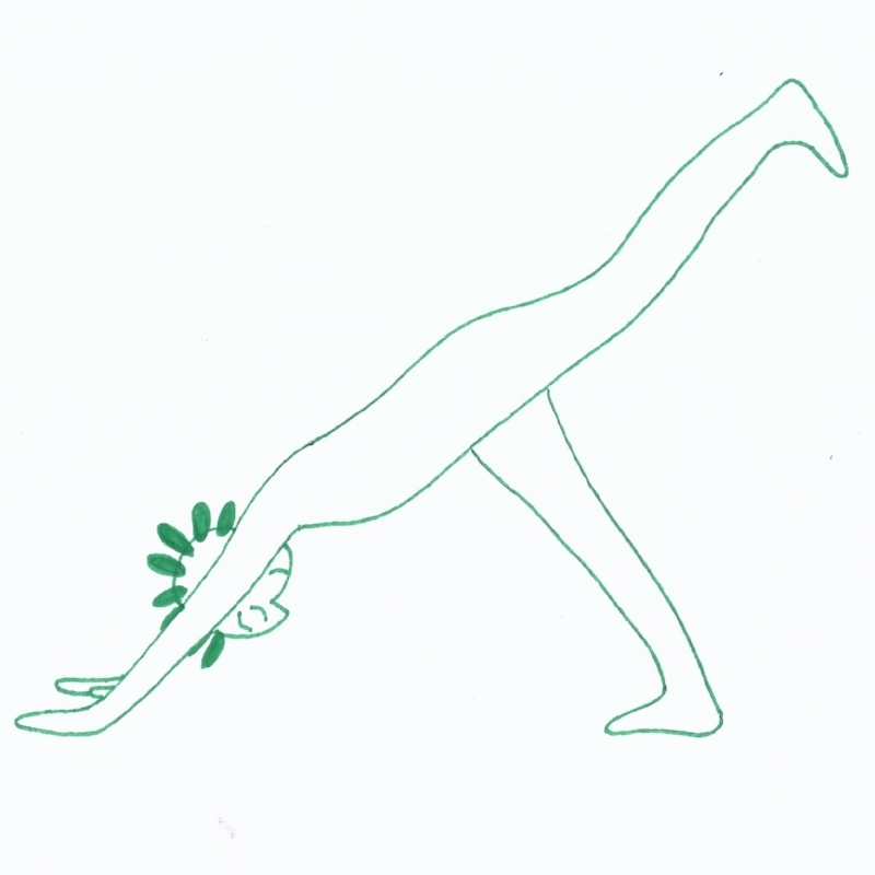 Downward_Facing_Dog_3_Legged_Variation.jpg