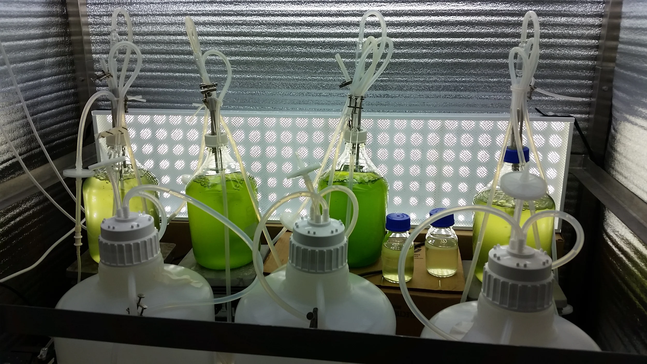 20150824_132406.jpg
