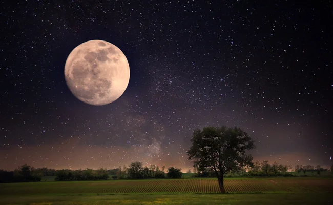 full rose moon.jpg