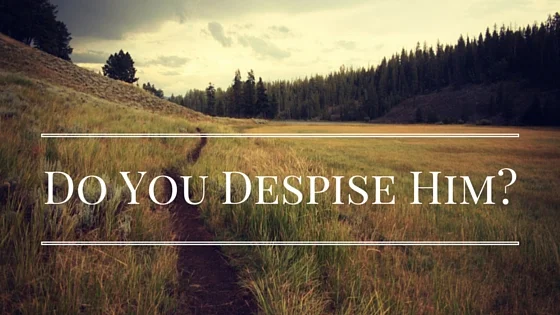 Do You Despise Him?