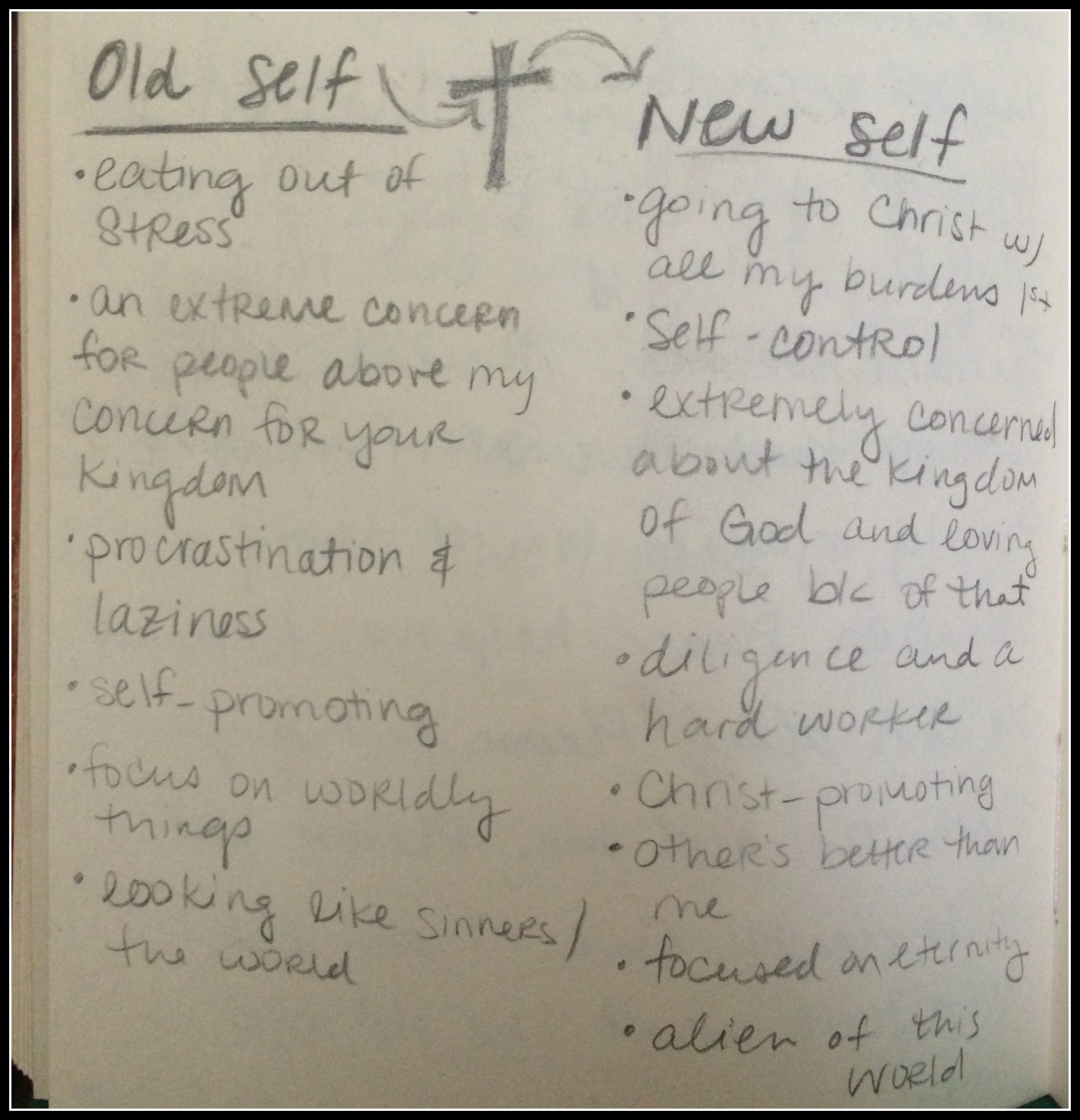 old new self chart