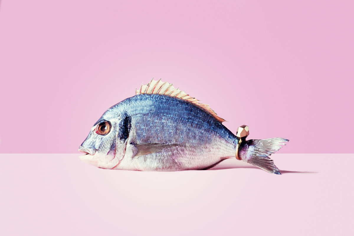 EVERYDAY STILL LIFE