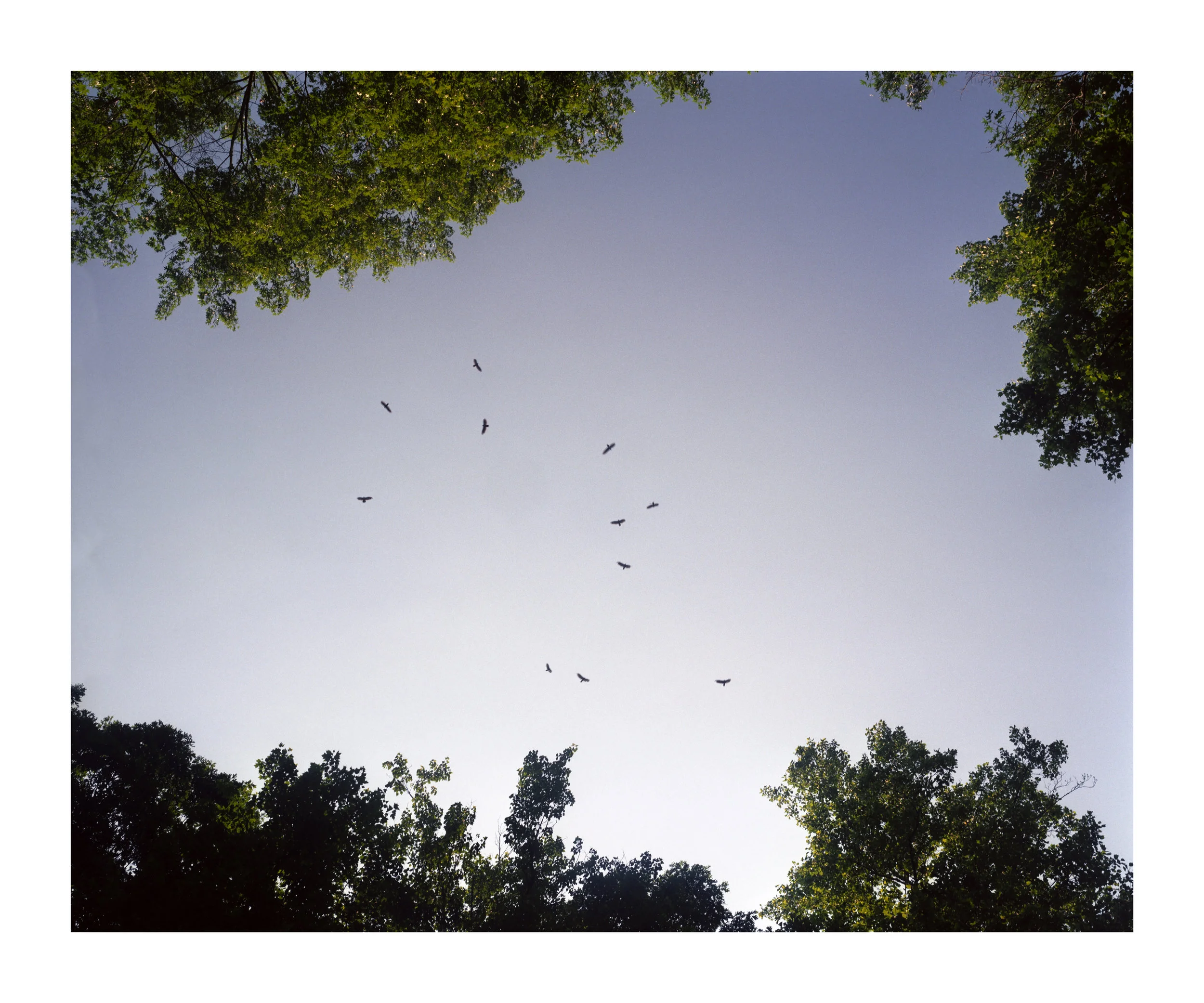 after nature (44)