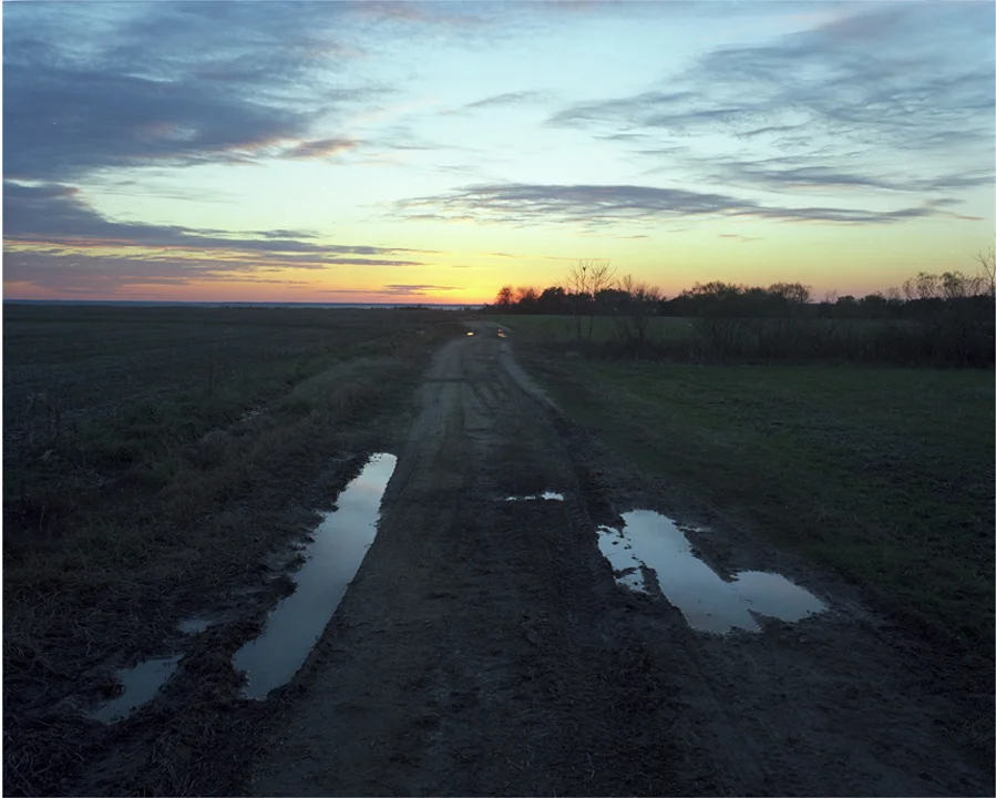 after nature (33)
