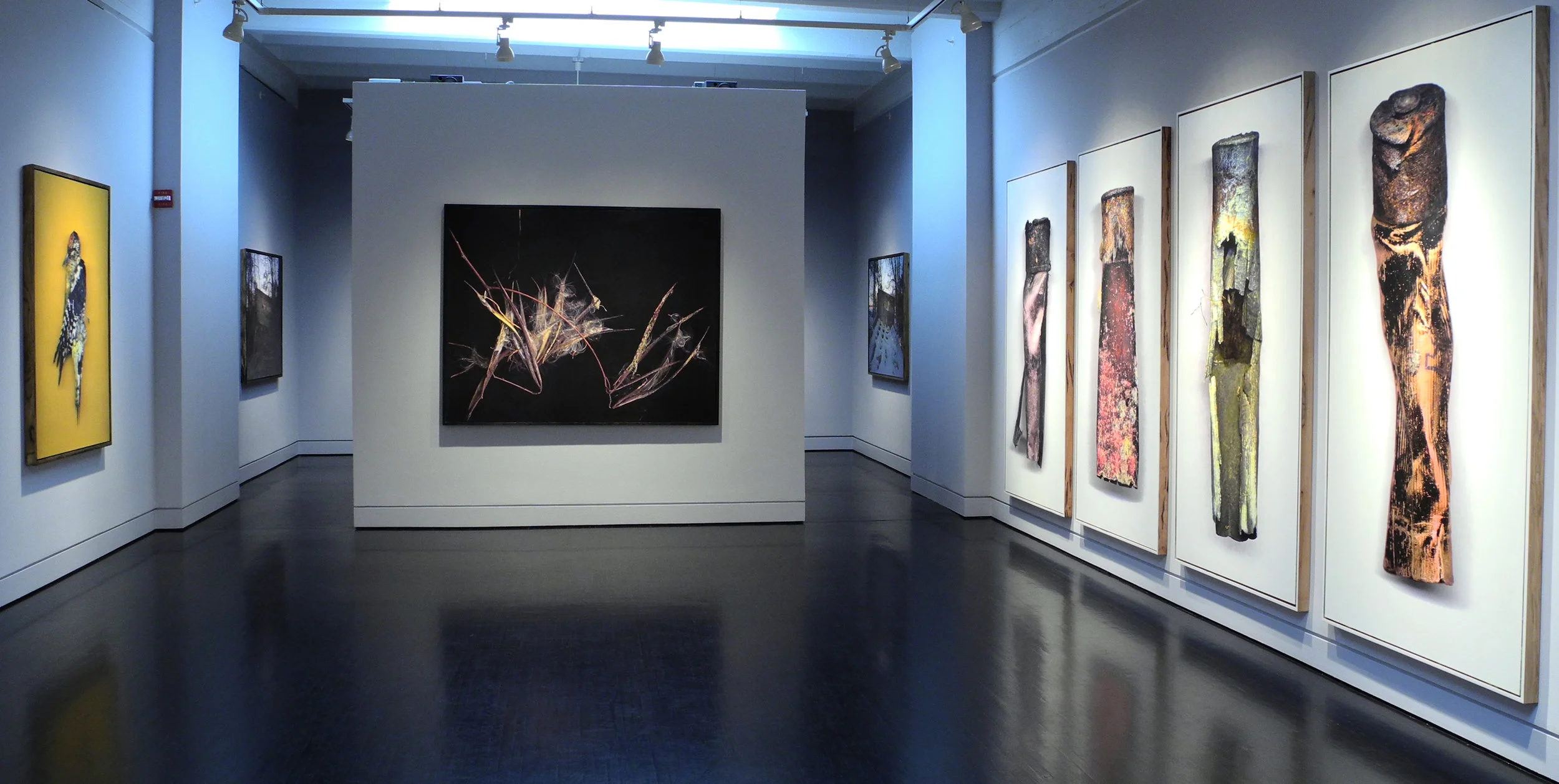 Installation shot of gun shy at HEMPHILL
