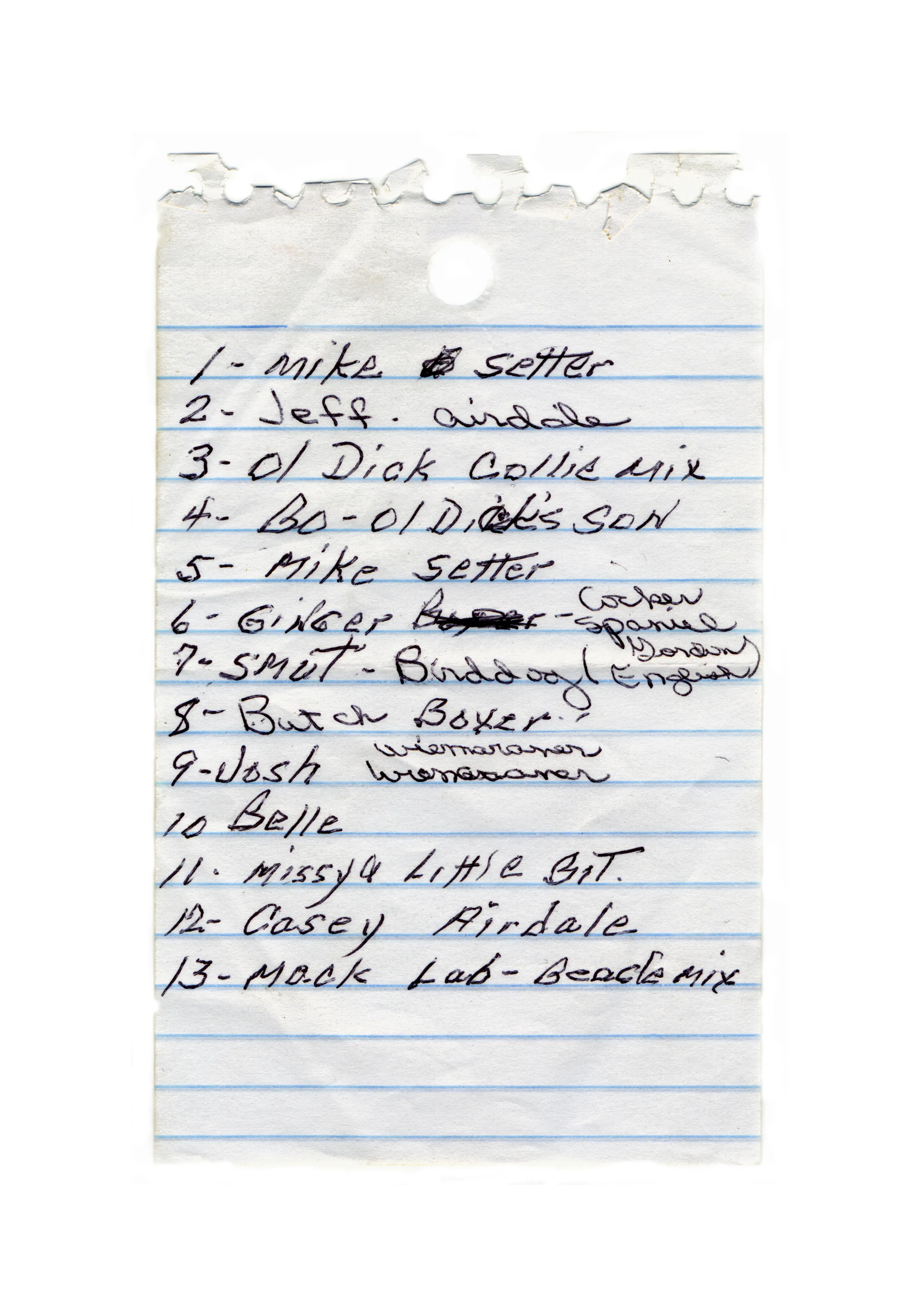 10. untitled (dog list).jpg