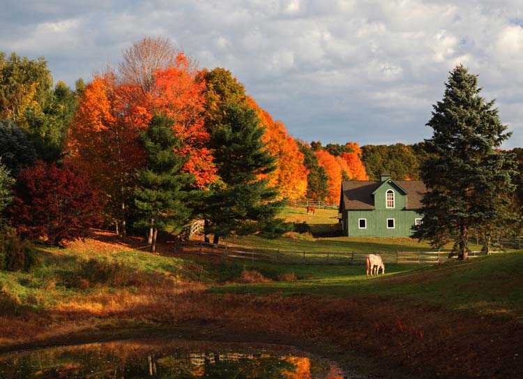Autumn in Connecticut