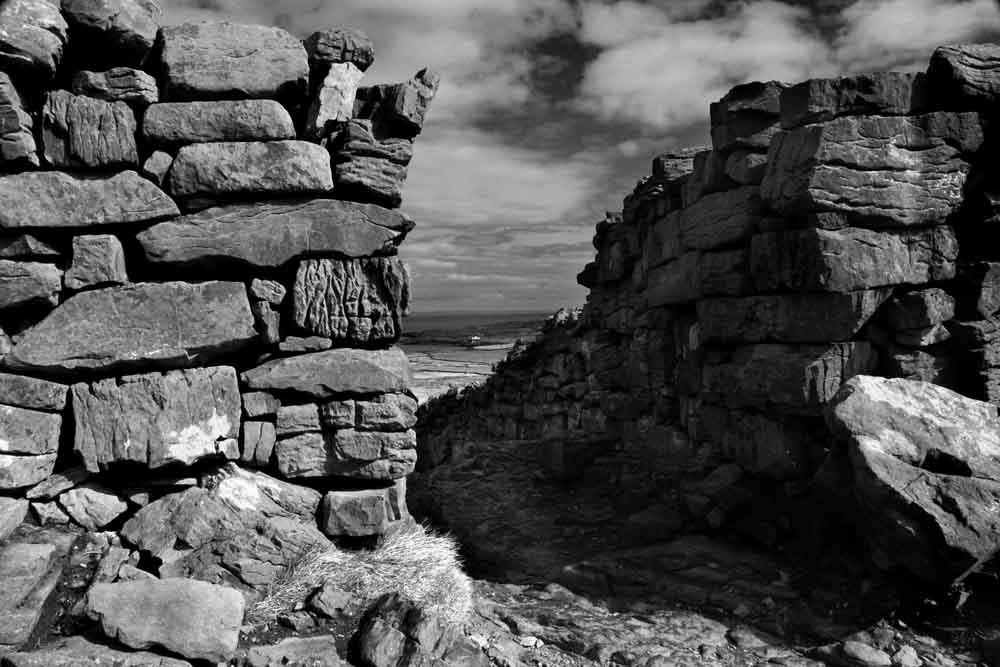 Walls, Aran Islands