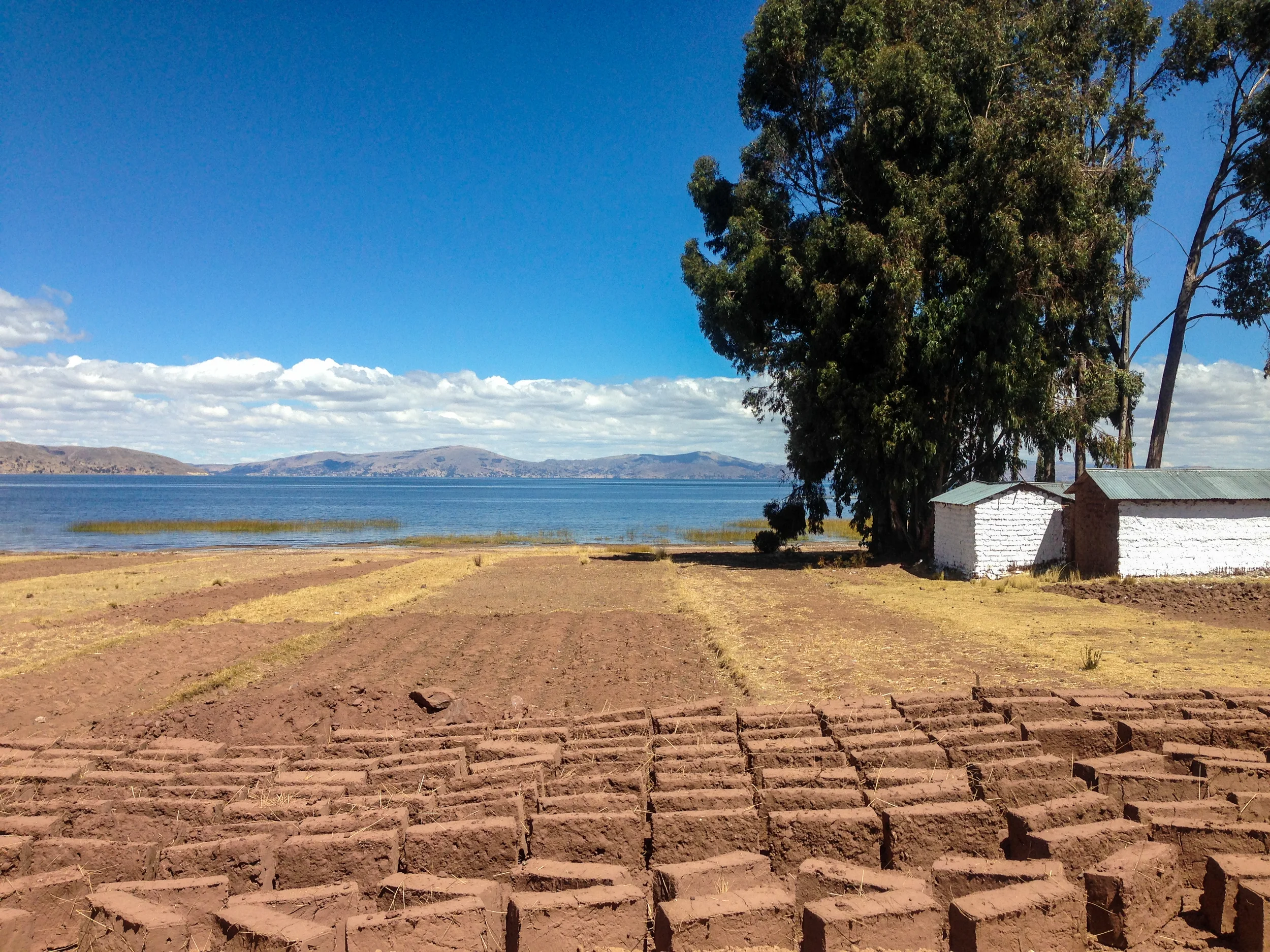 Adobe bricks being dried in the sun at one of the places we pulled over to let someone out after departing Capachicha.