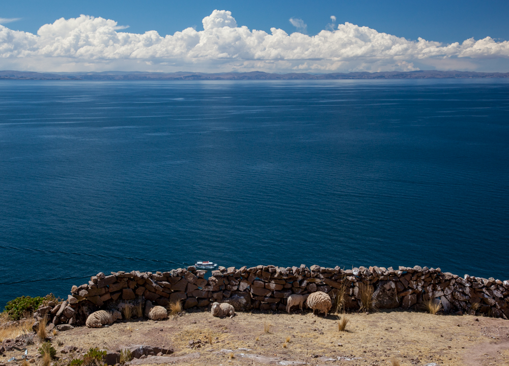 Sheep with one hell of a view. Bolivia is in the background.