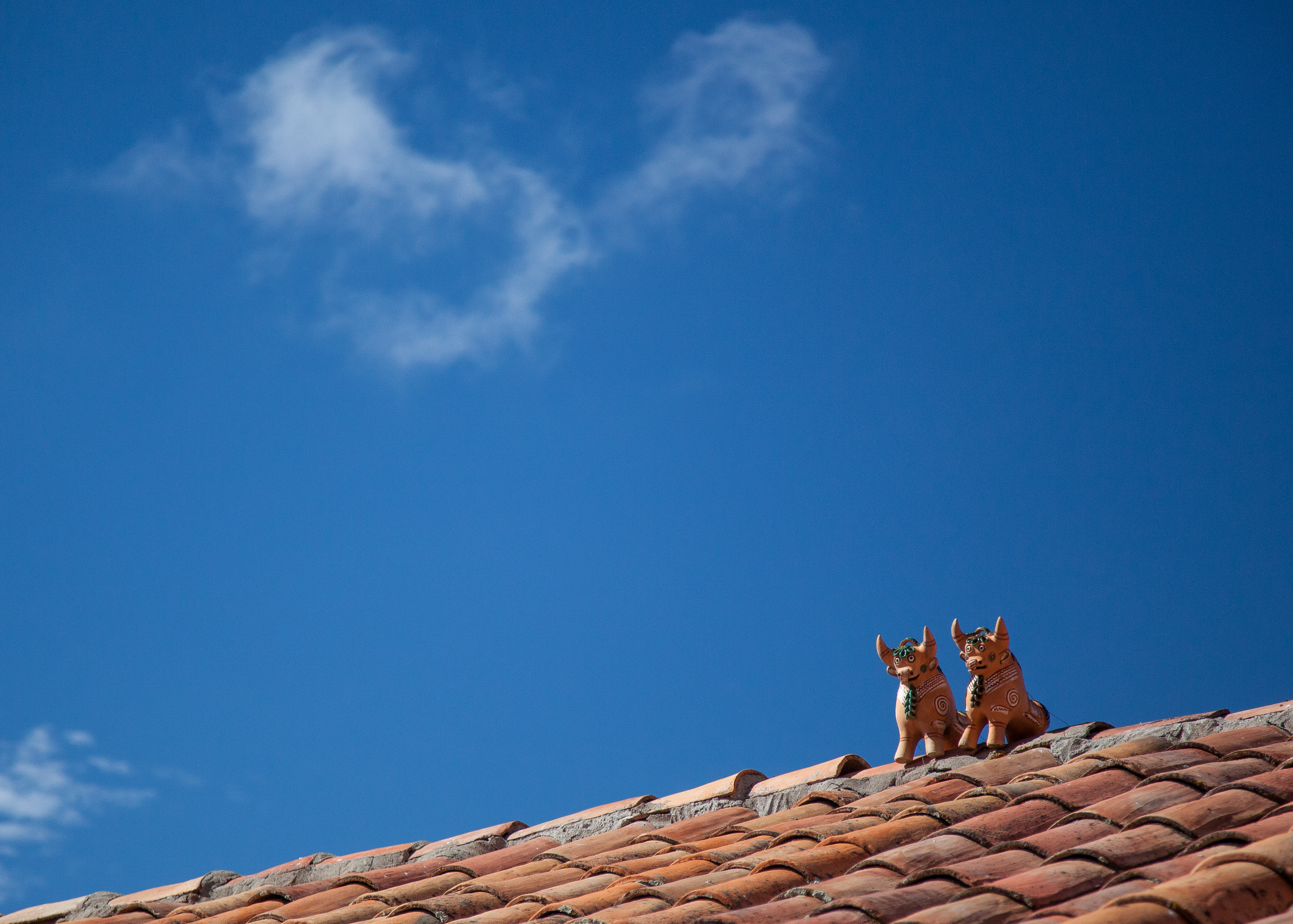 More rooftop toritos
