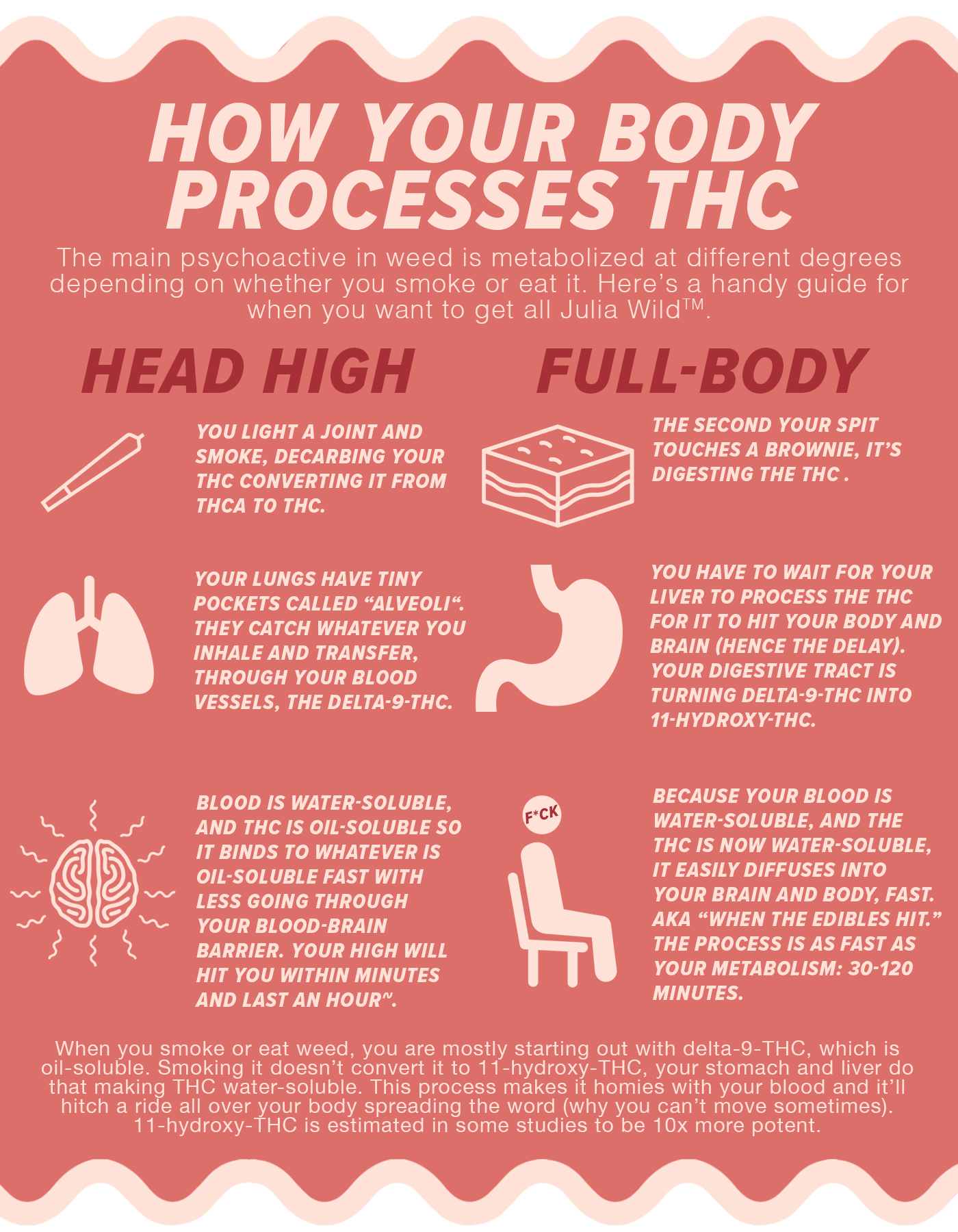 Thc In Your System Chart