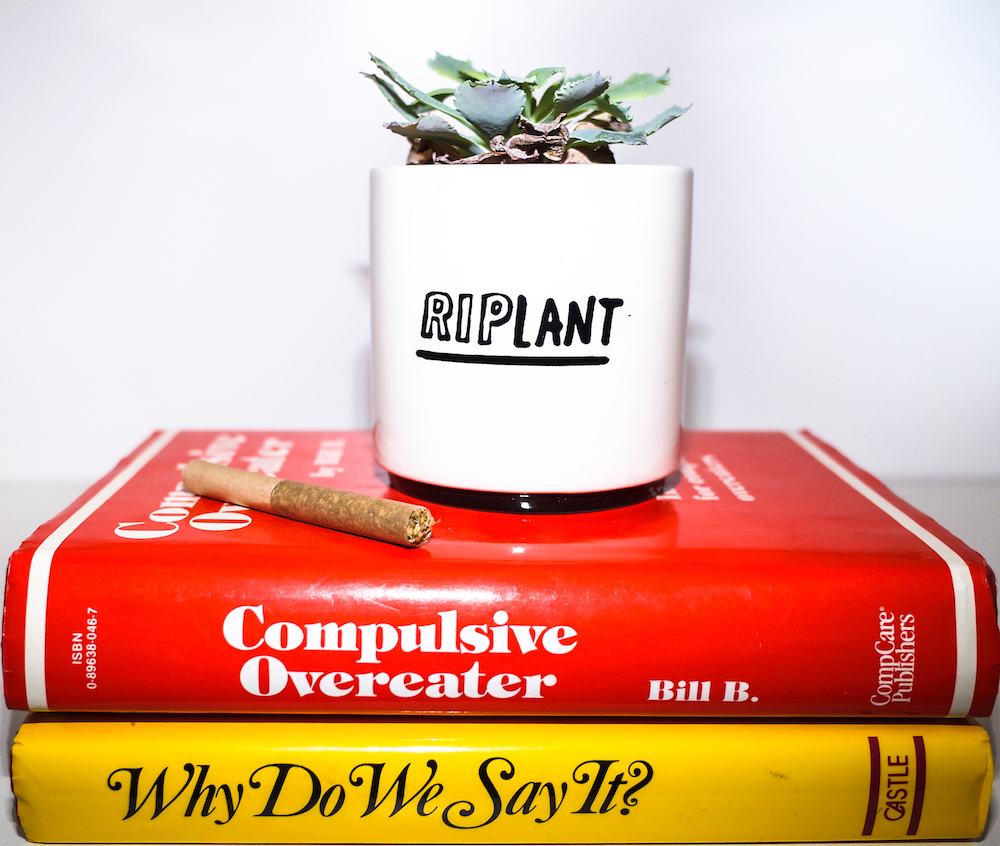 book-2 copy.jpg