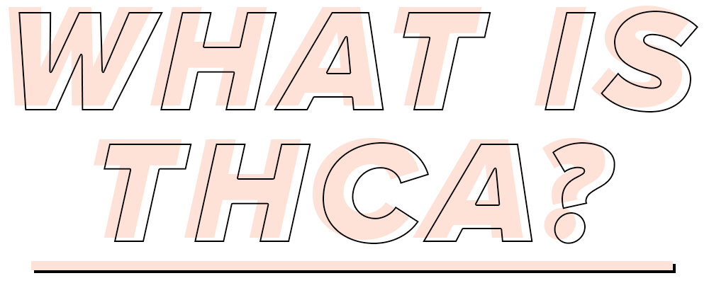 unnamed-1.png