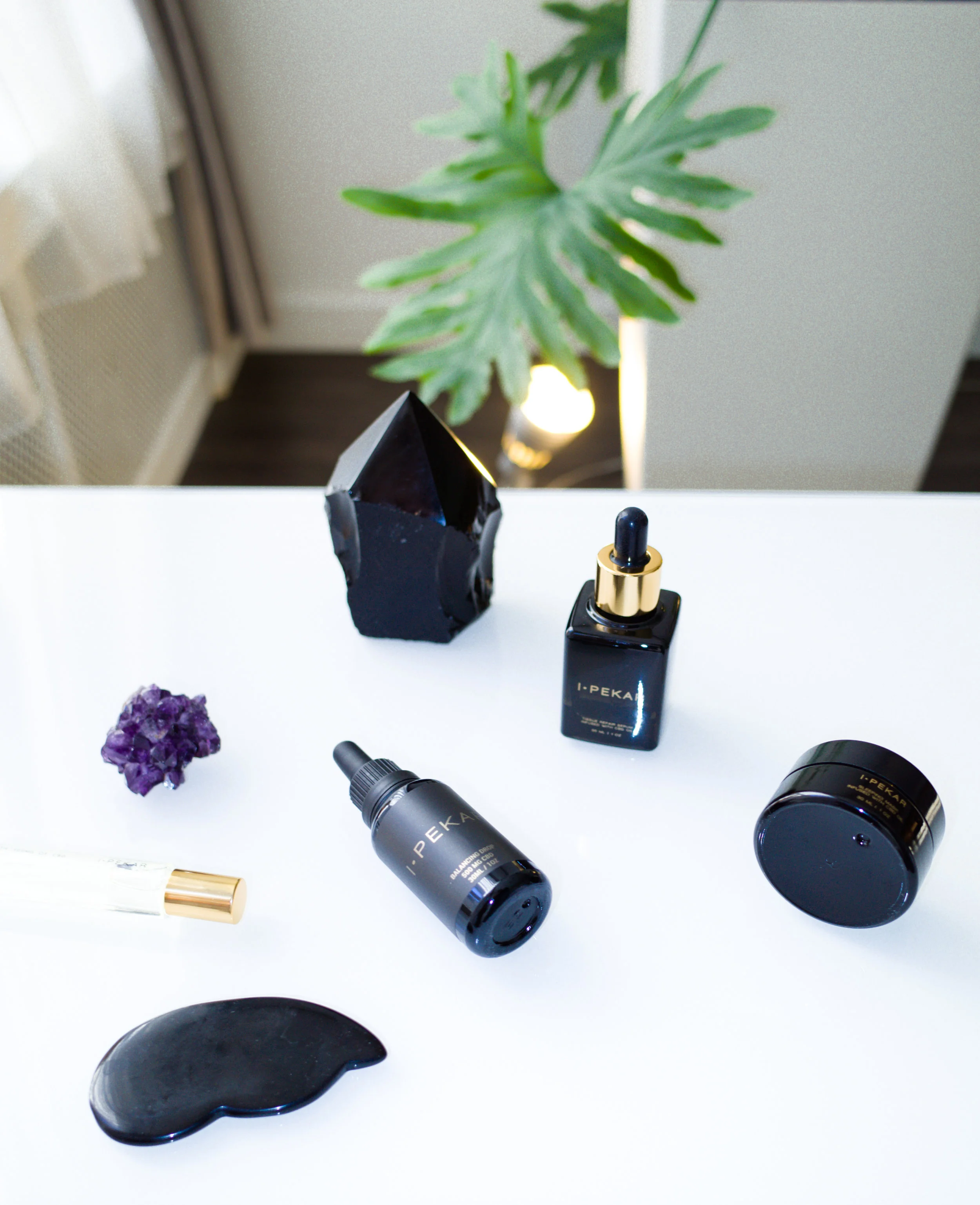 top shelf-0016134.jpg