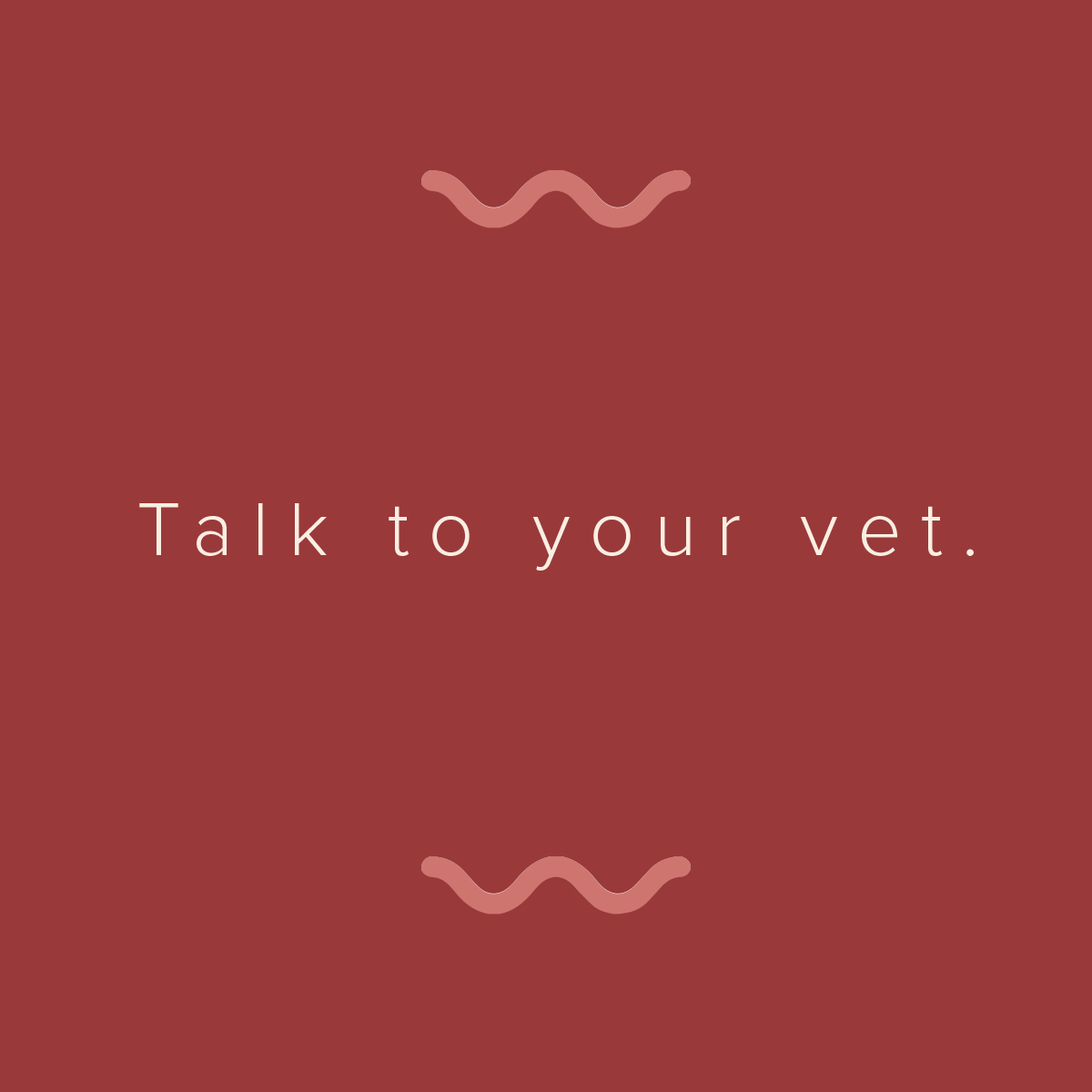 doggie2.png
